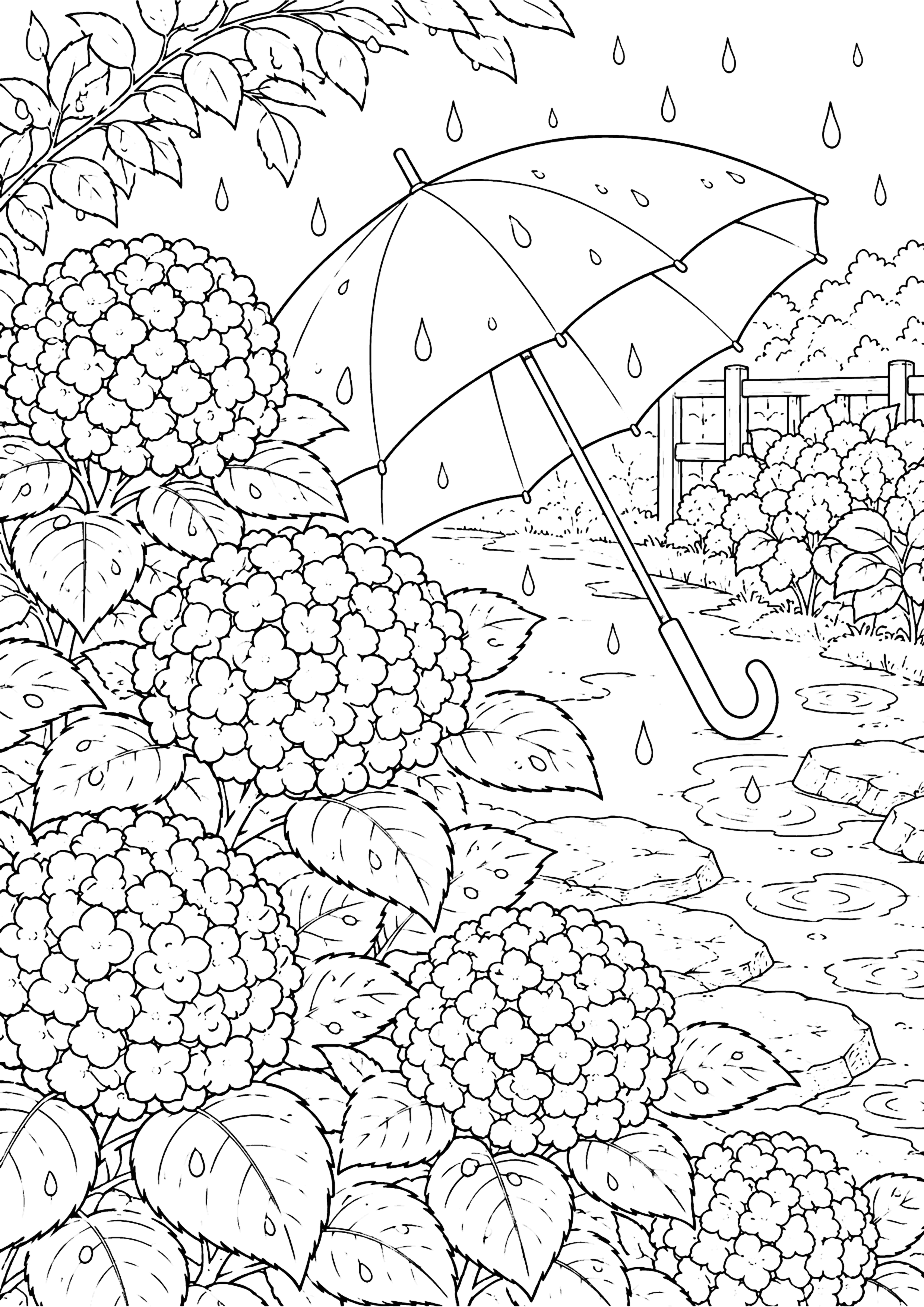 アジサイと傘 塗り絵