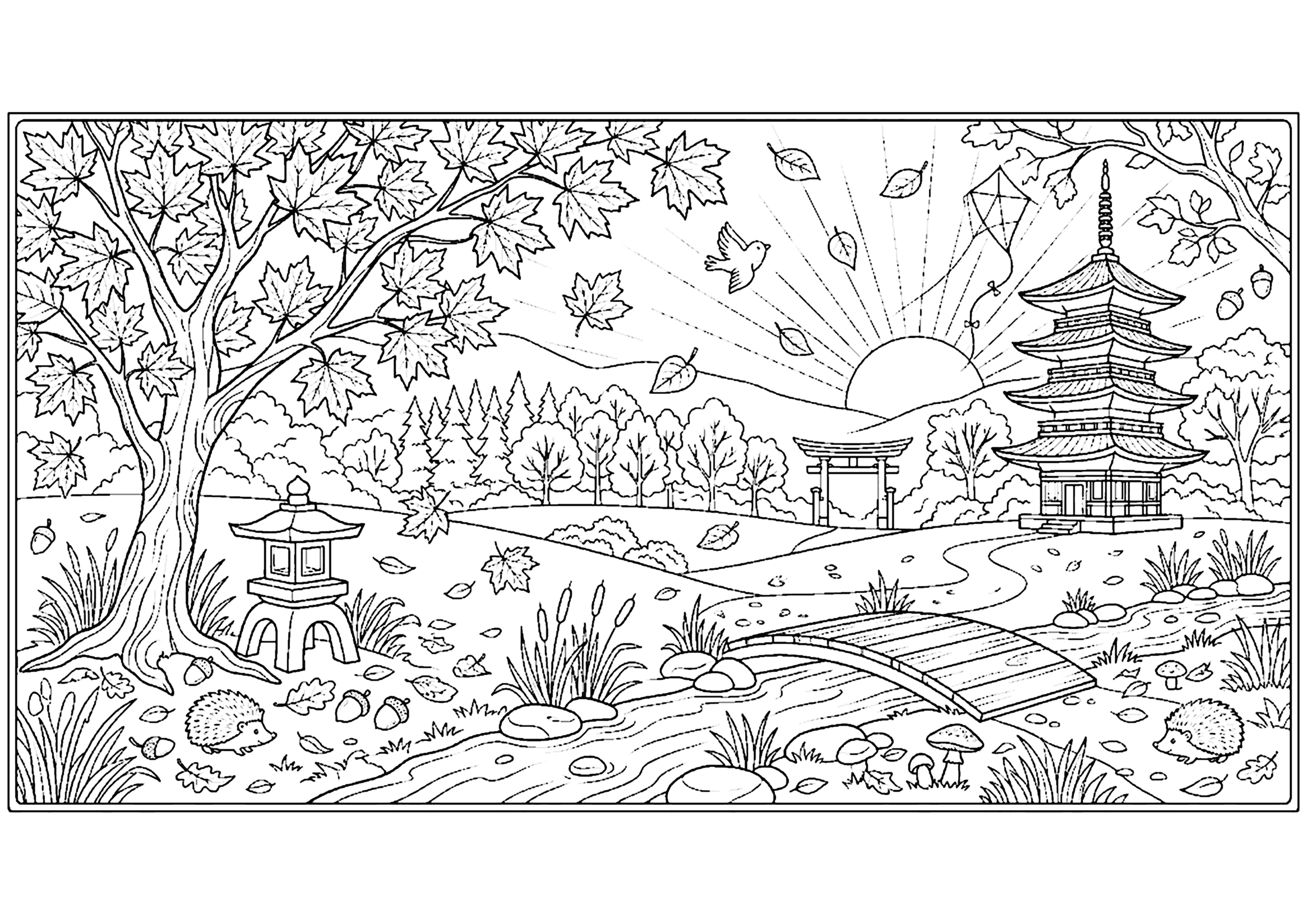 秋 塗り絵