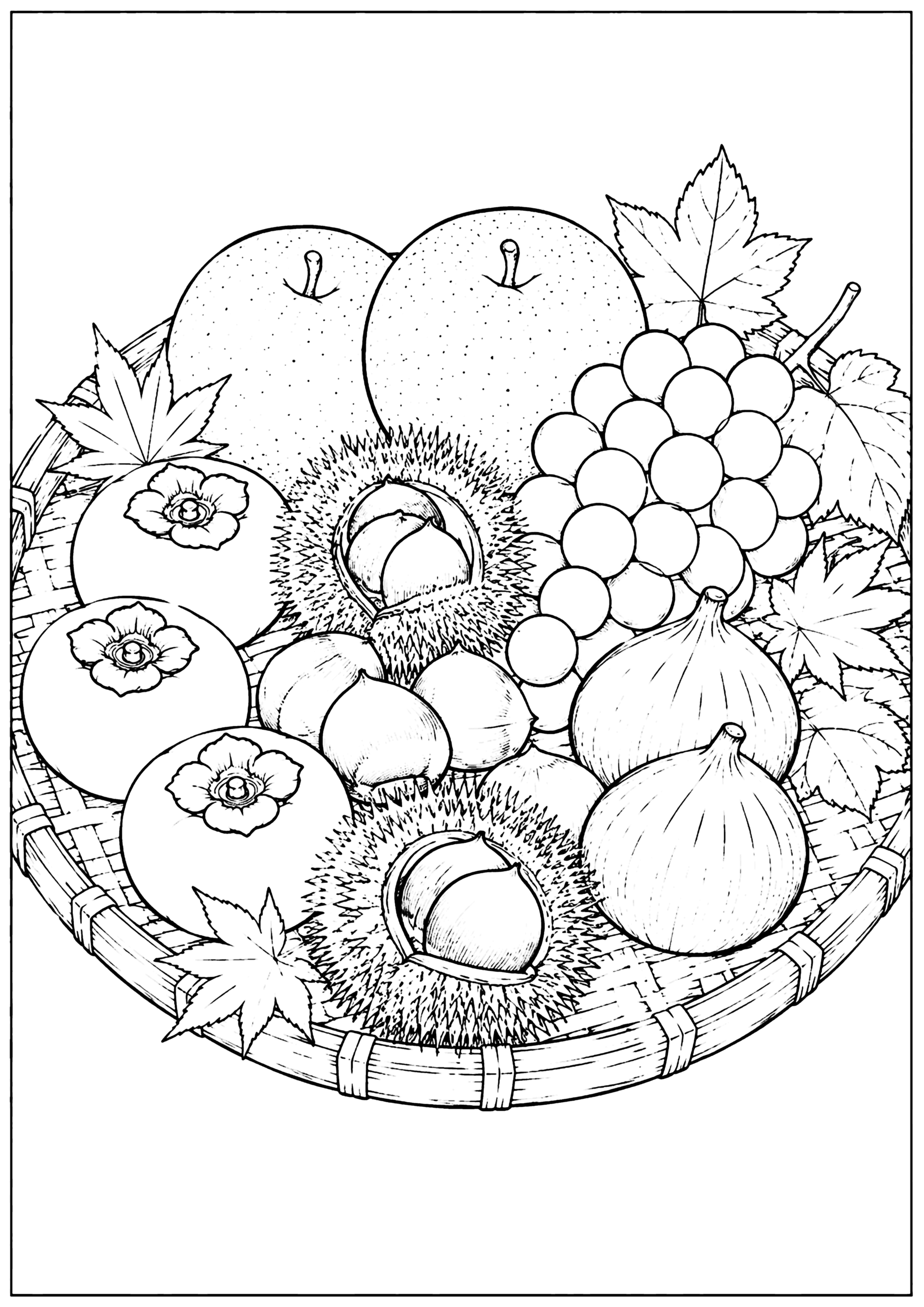 秋の果物 塗り絵
