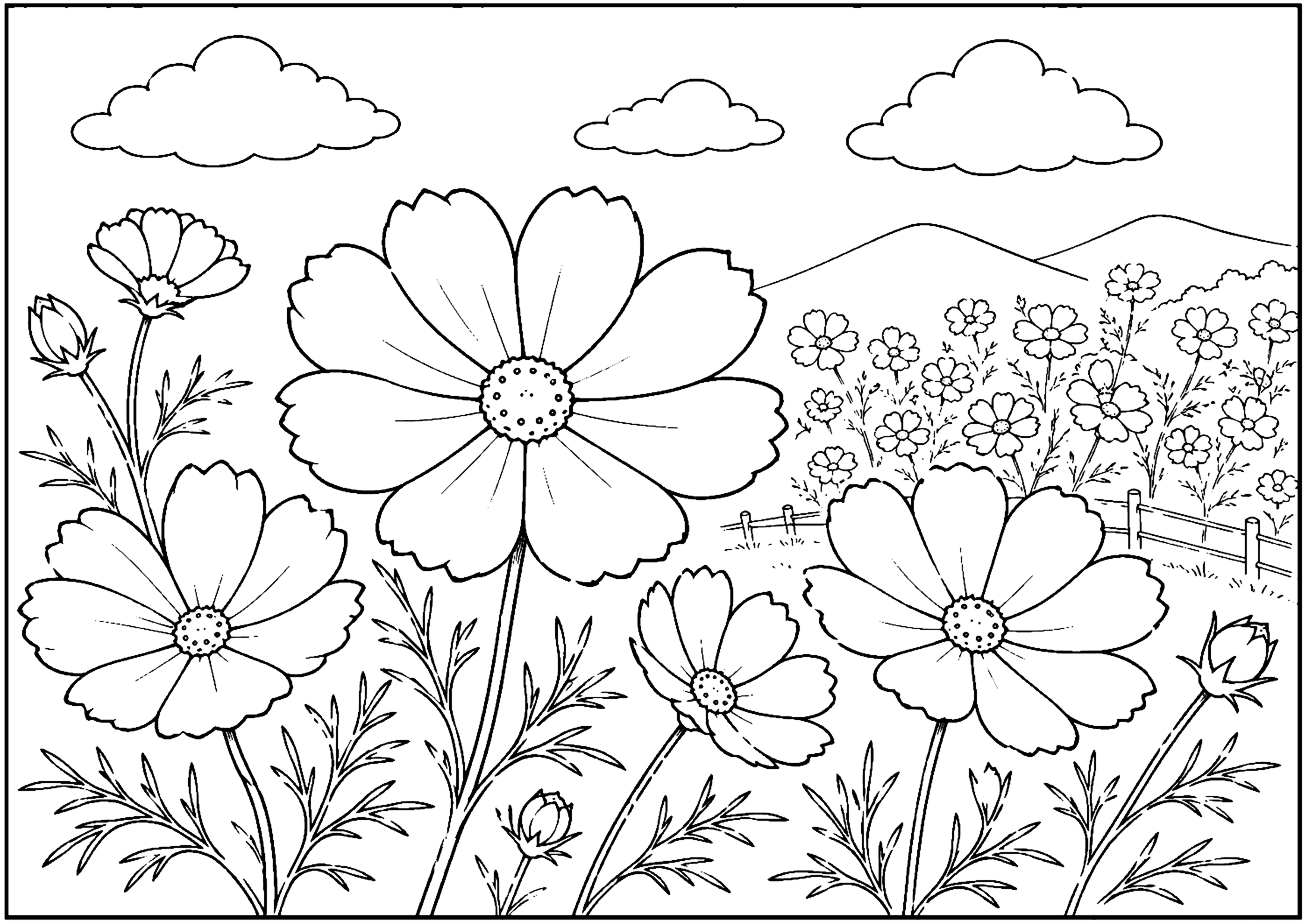 コスモス3 塗り絵