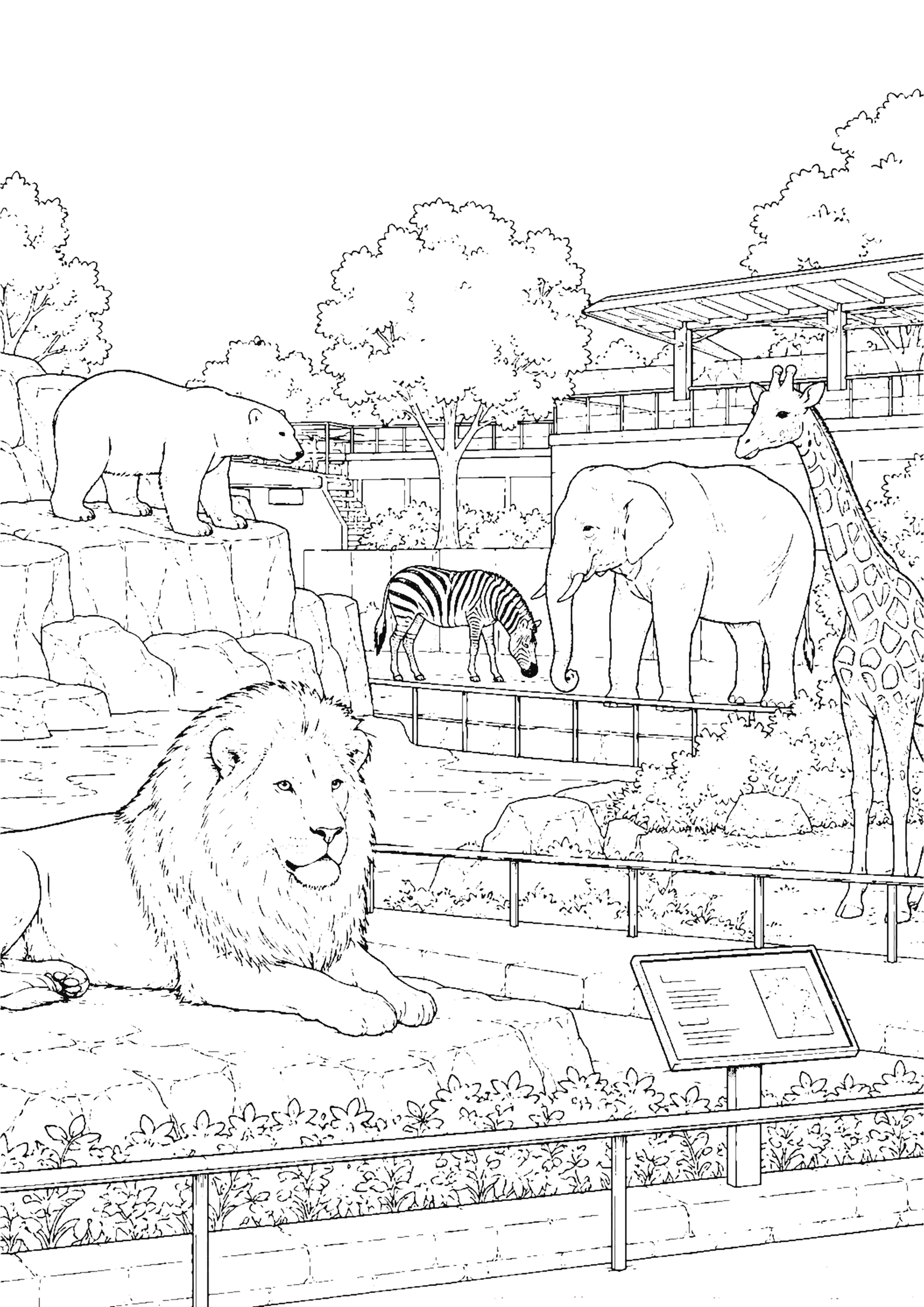 動物園 塗り絵