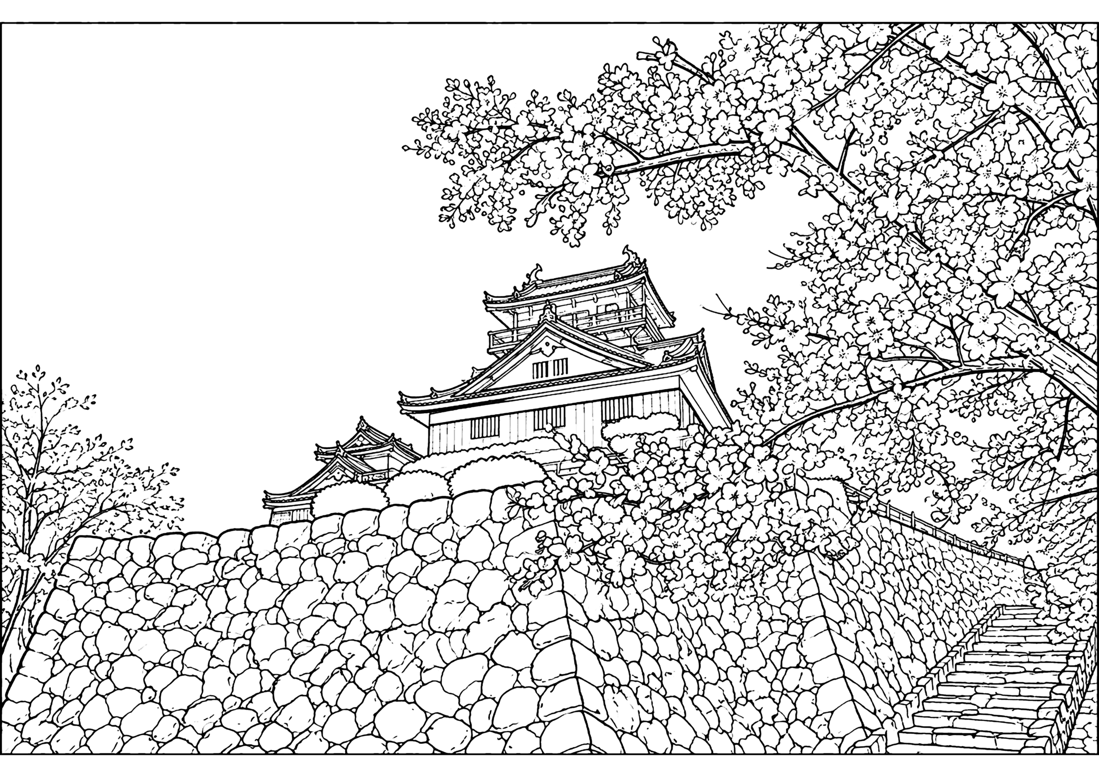 春の越前大野城 塗り絵