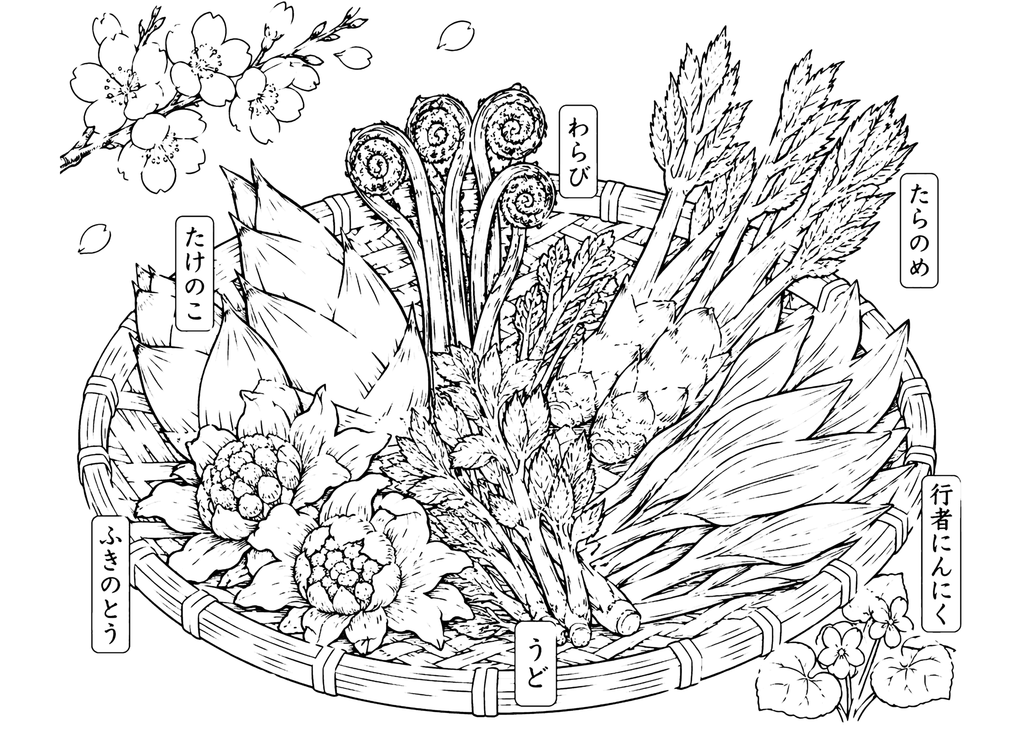 春の山菜 塗り絵