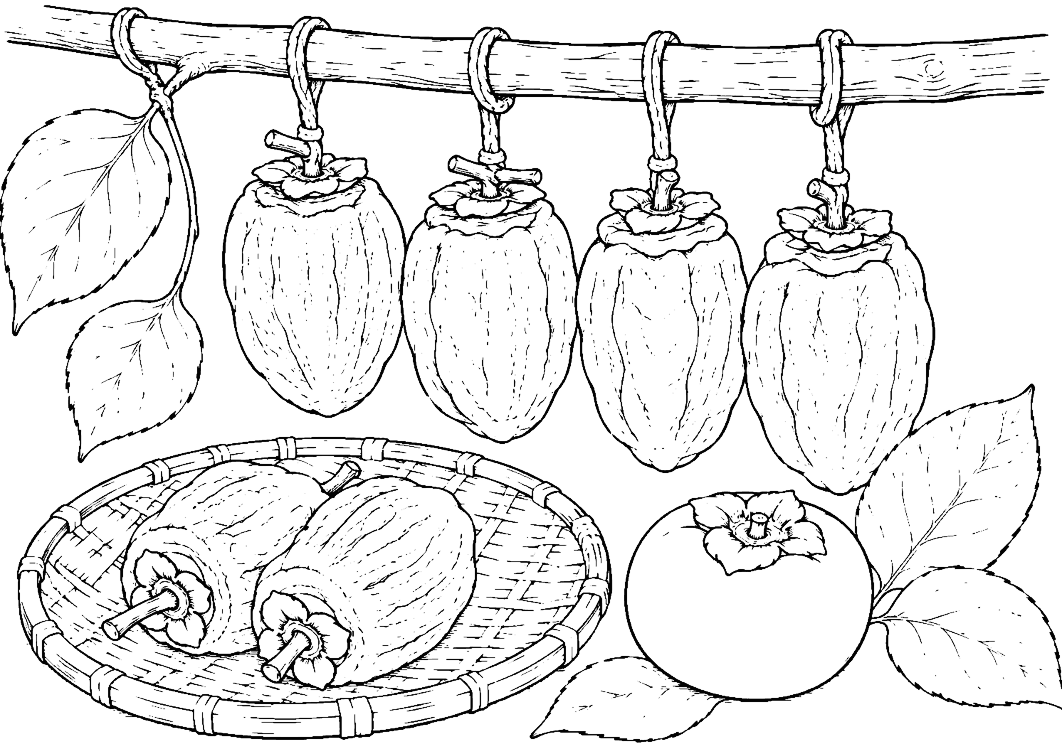 干し柿 塗り絵