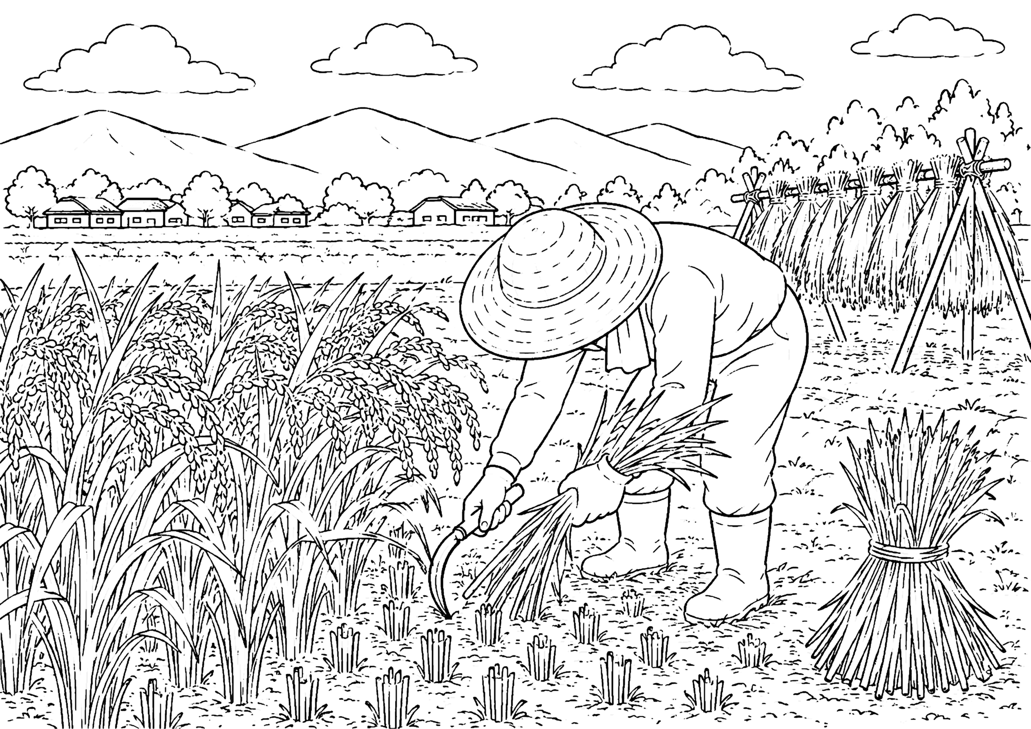 稲刈り 塗り絵