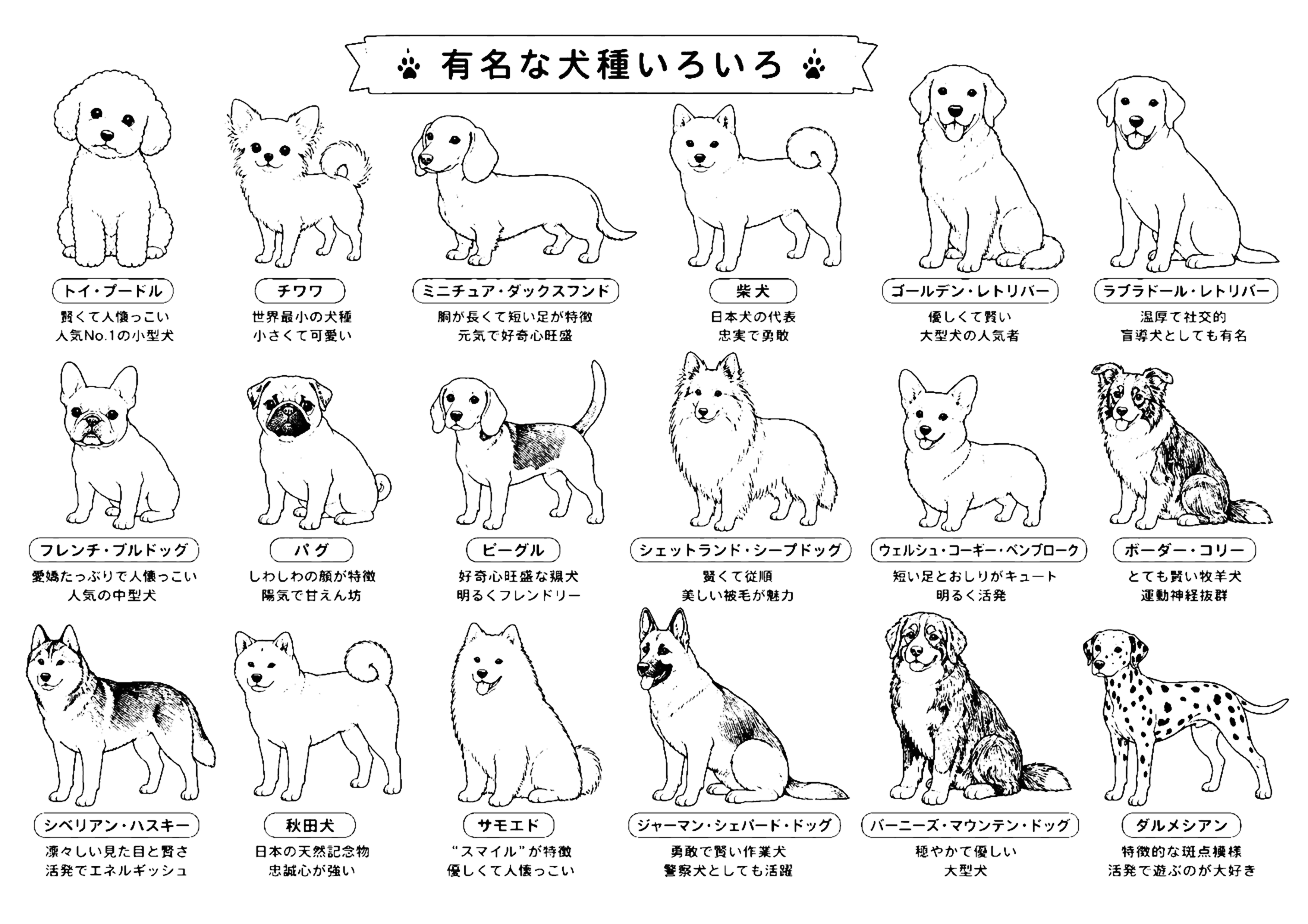 犬種 塗り絵
