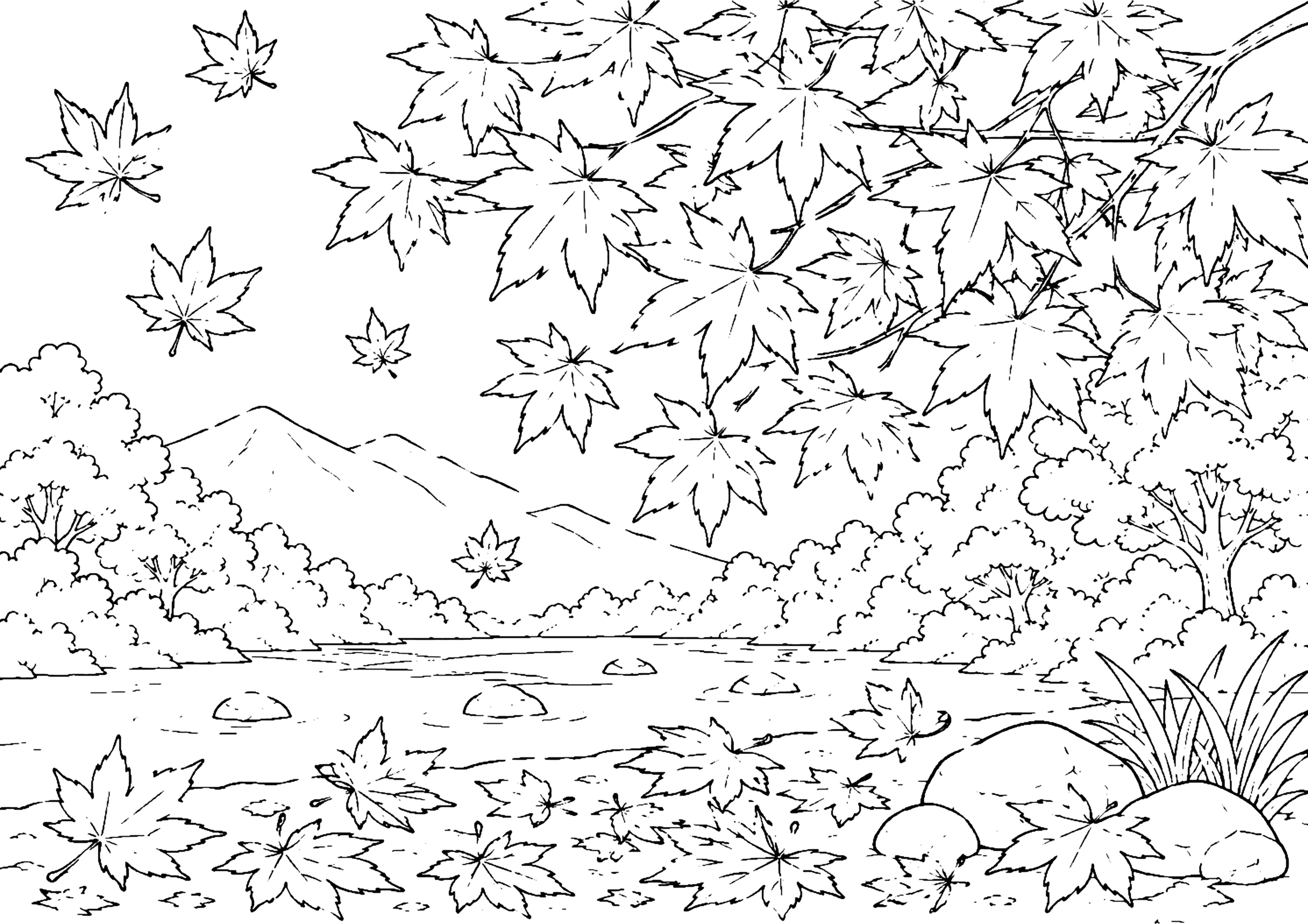 紅葉 塗り絵