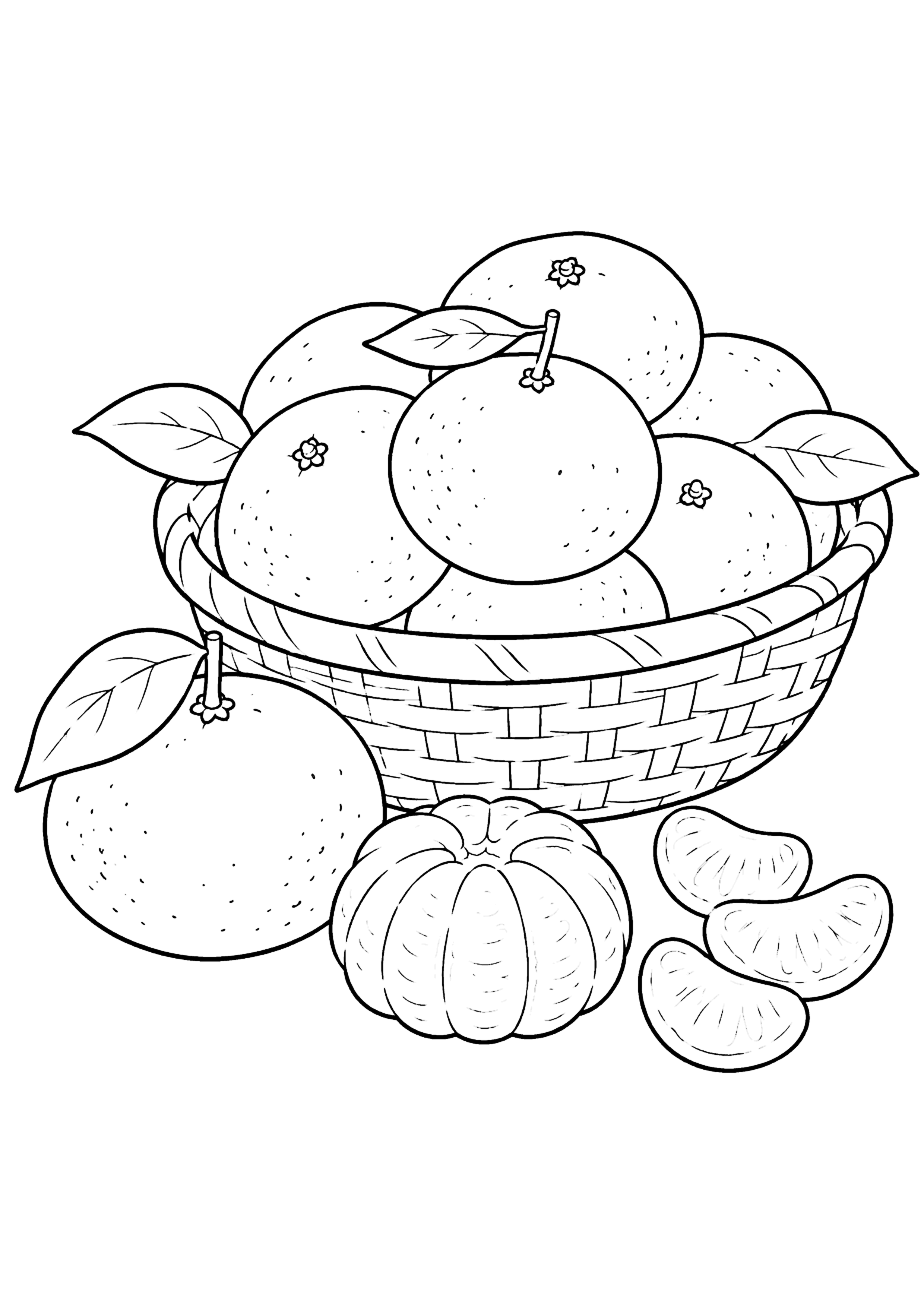 みかん 塗り絵