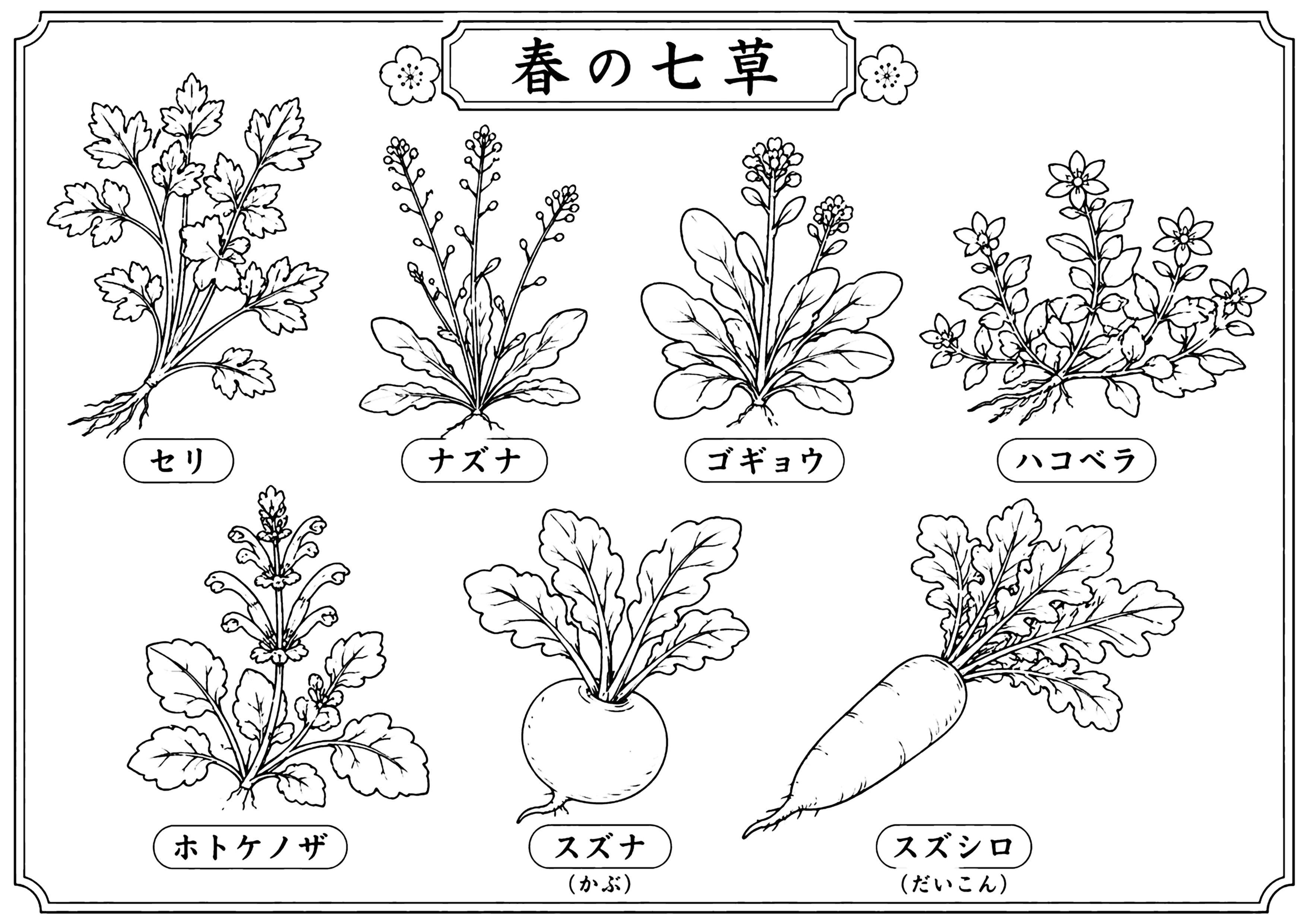七草 塗り絵
