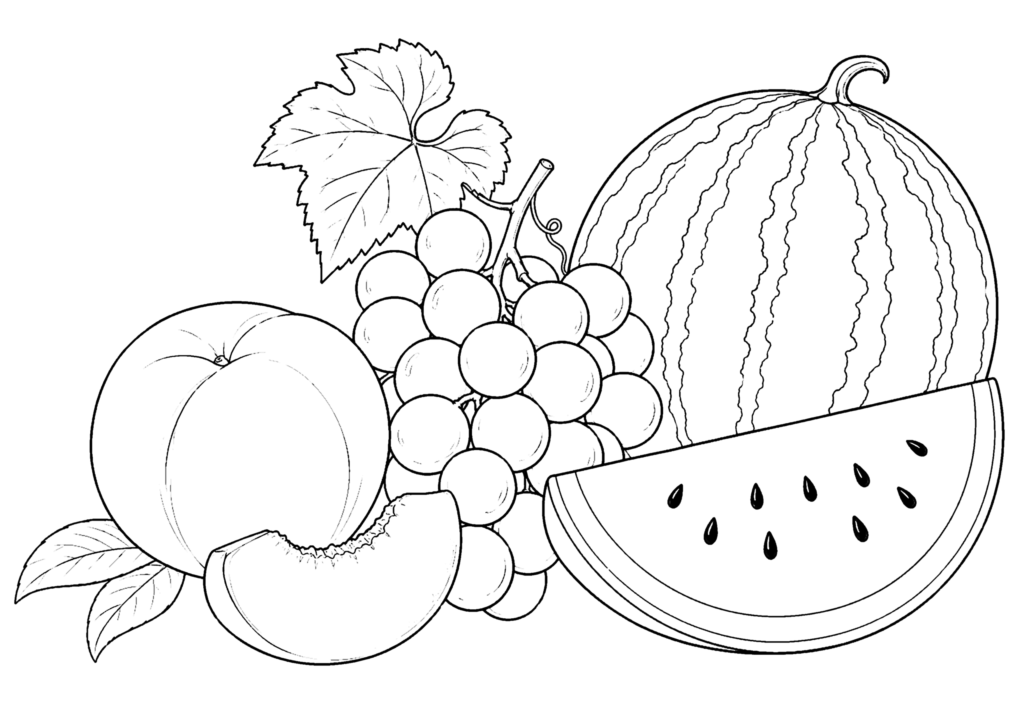 夏の果物 塗り絵