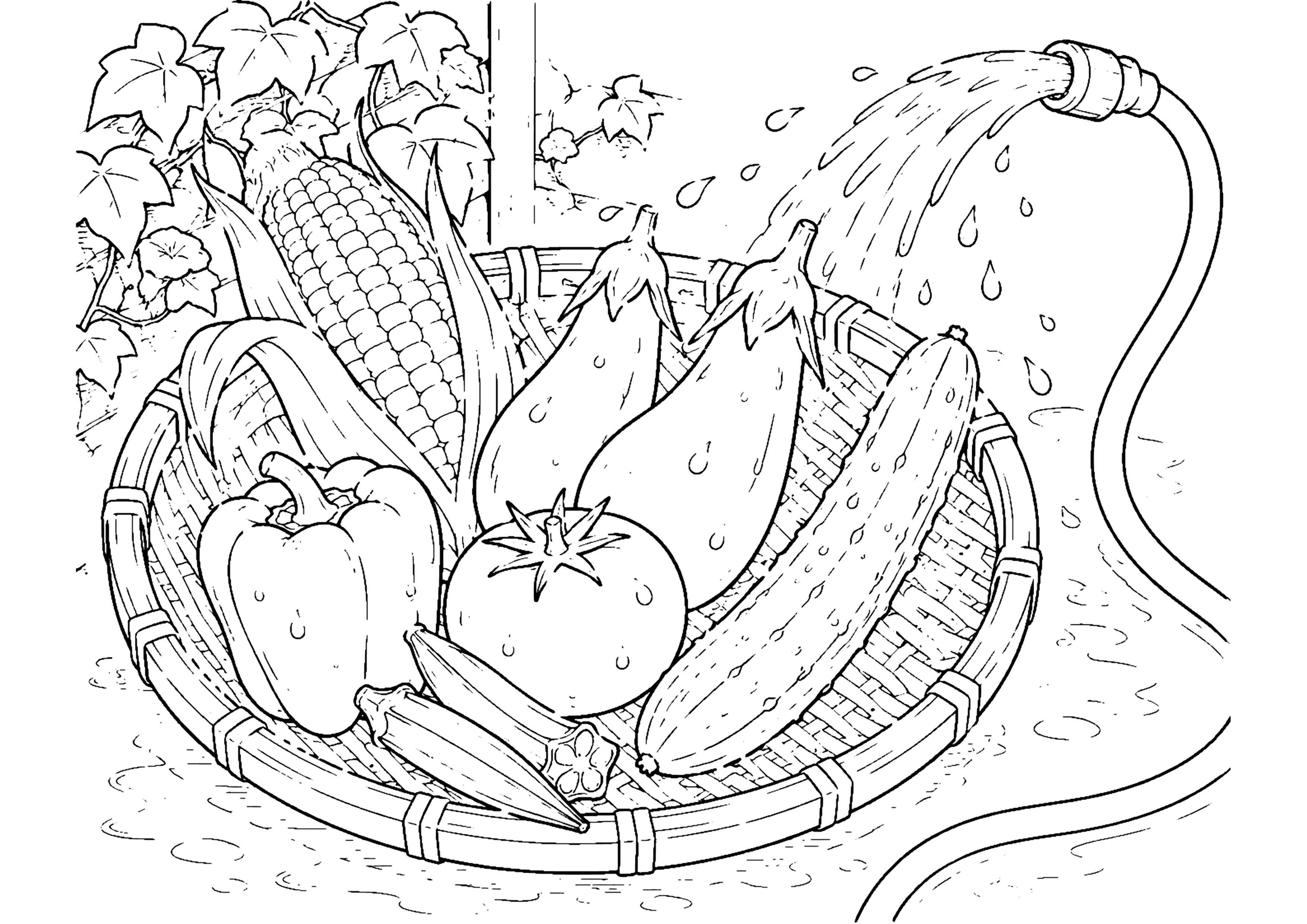 夏野菜 塗り絵