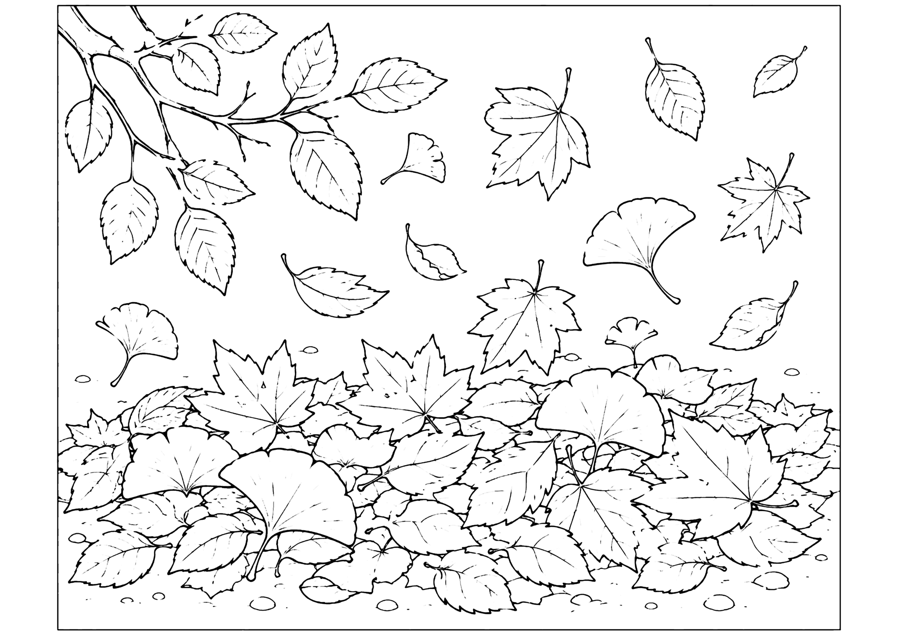 落ち葉 塗り絵