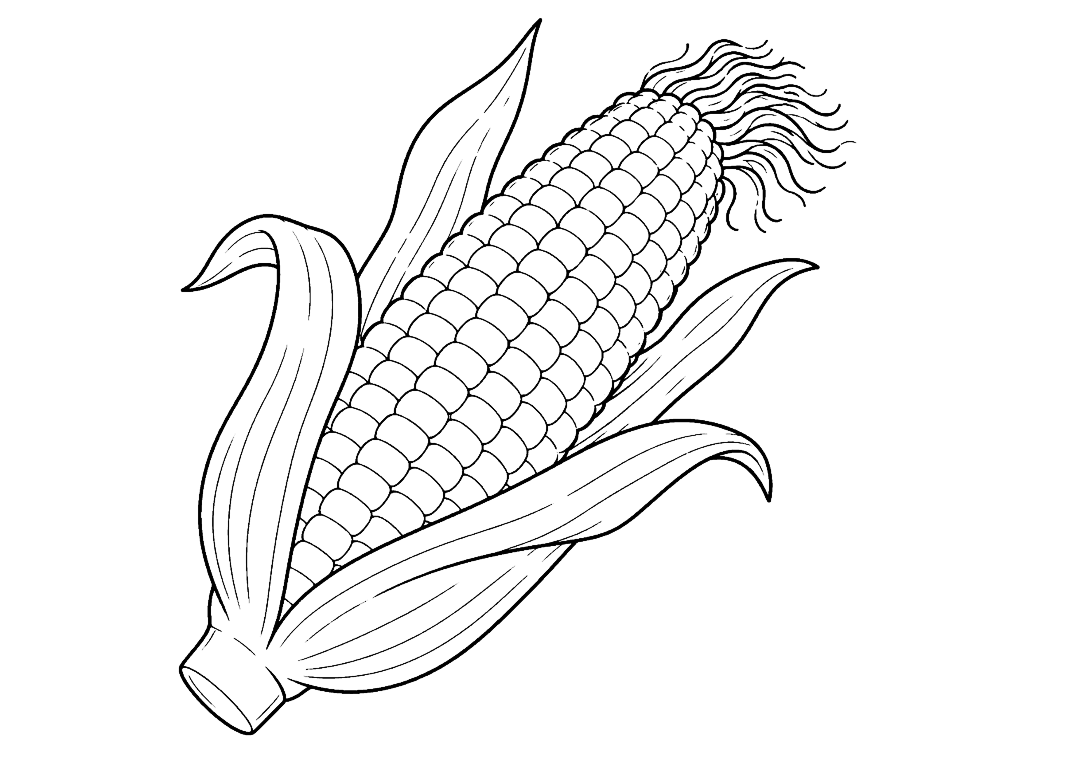 とうもろこし 塗り絵
