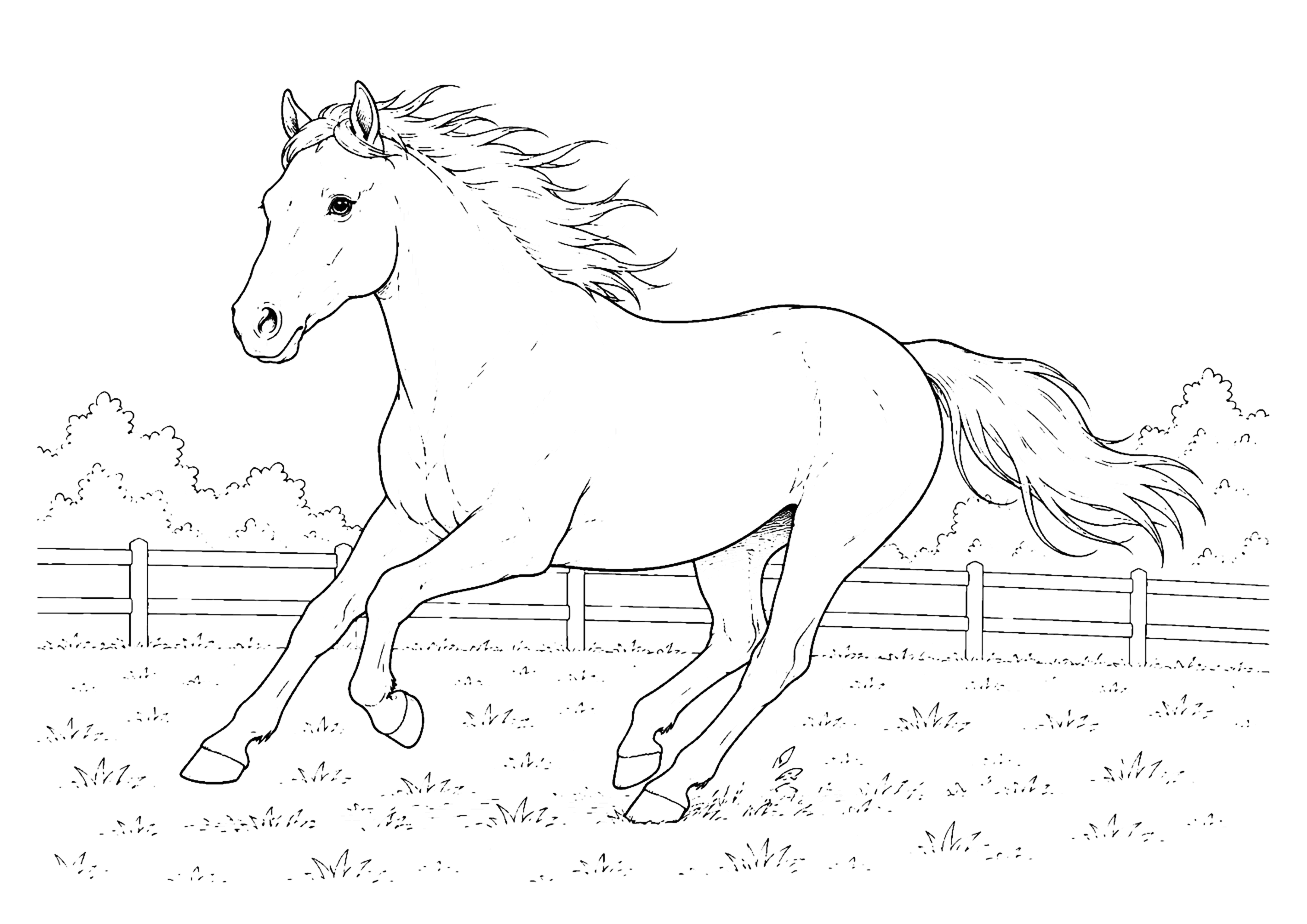 馬 塗り絵