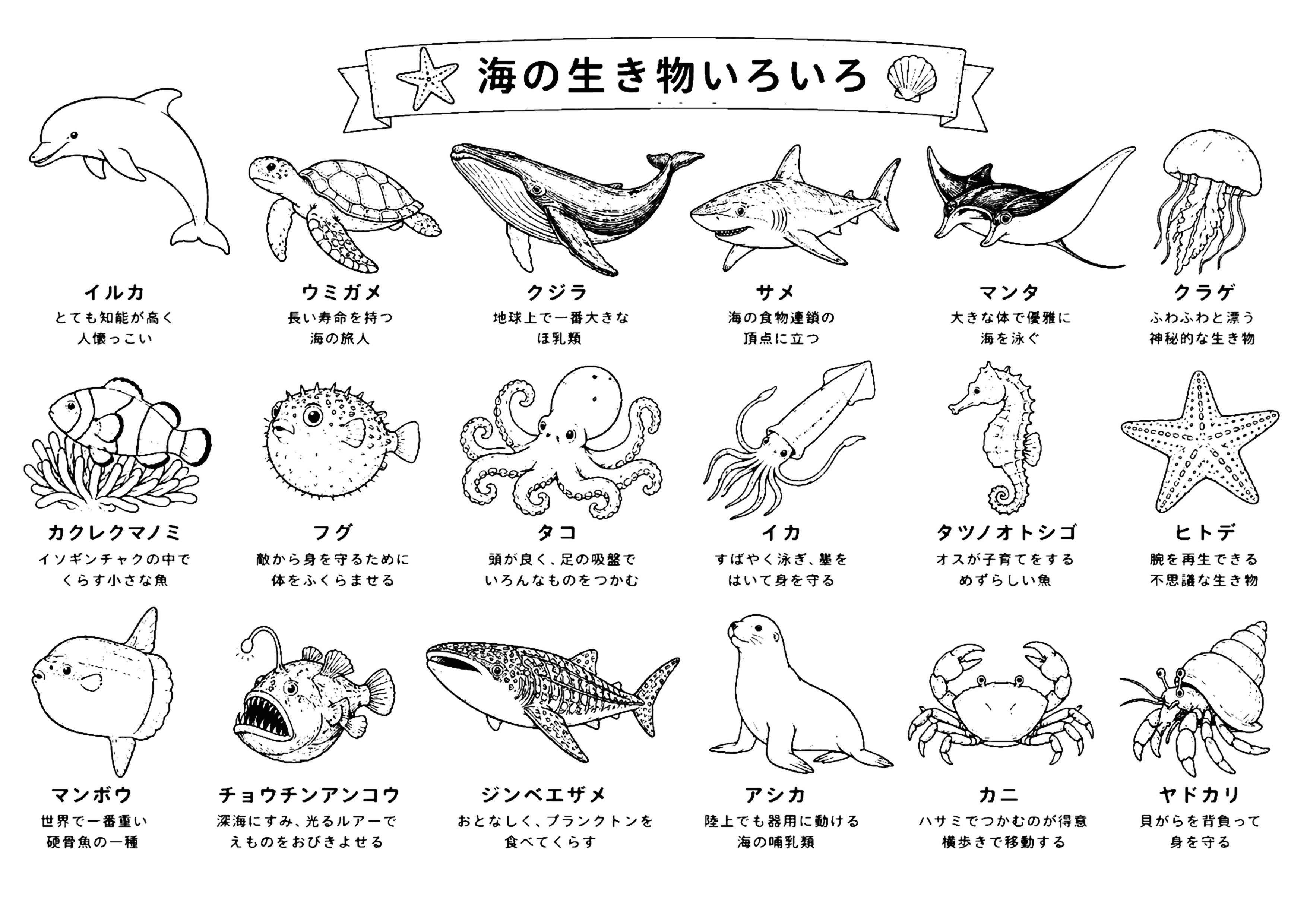海の生き物 塗り絵