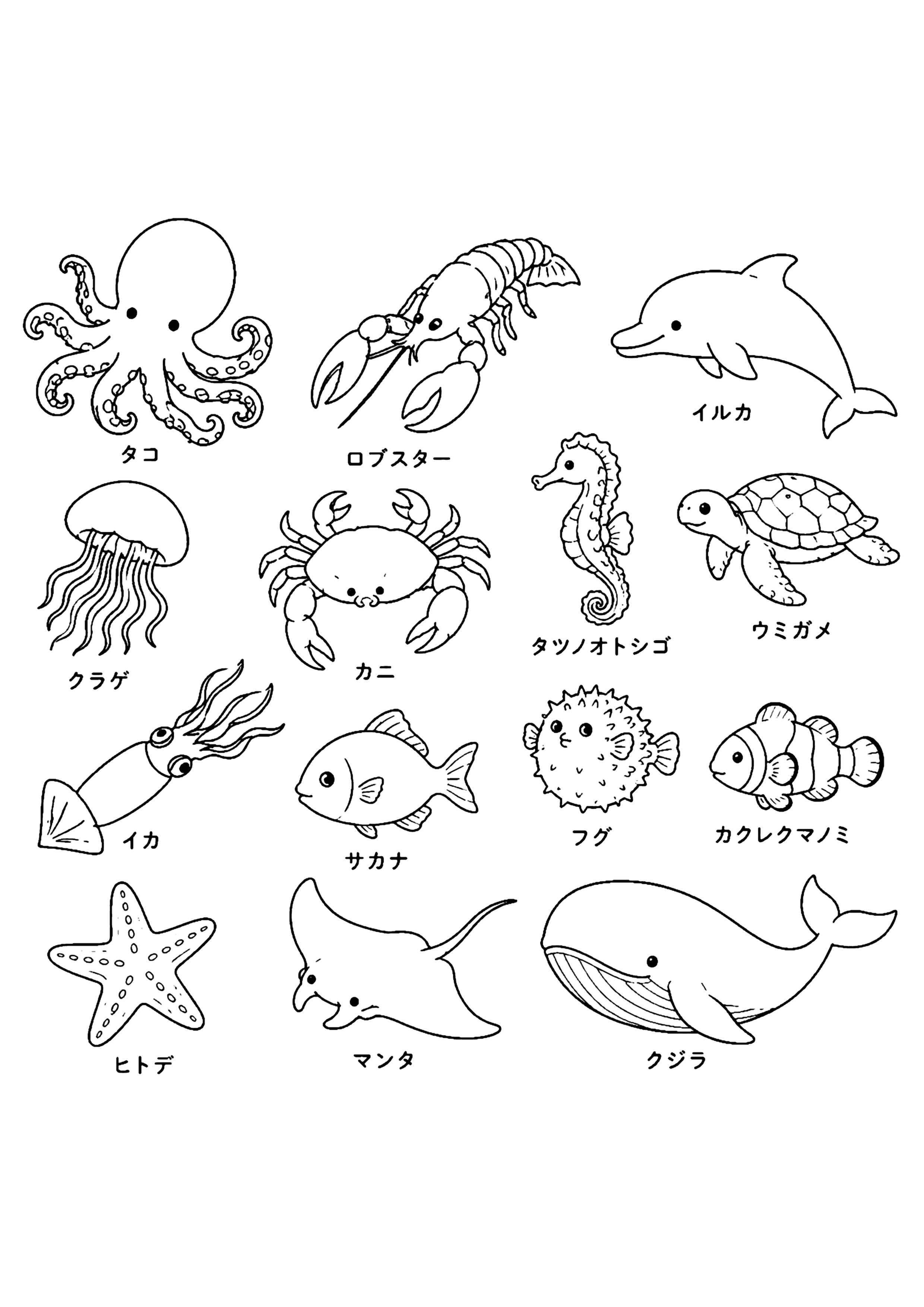 海の生き物 その2 塗り絵