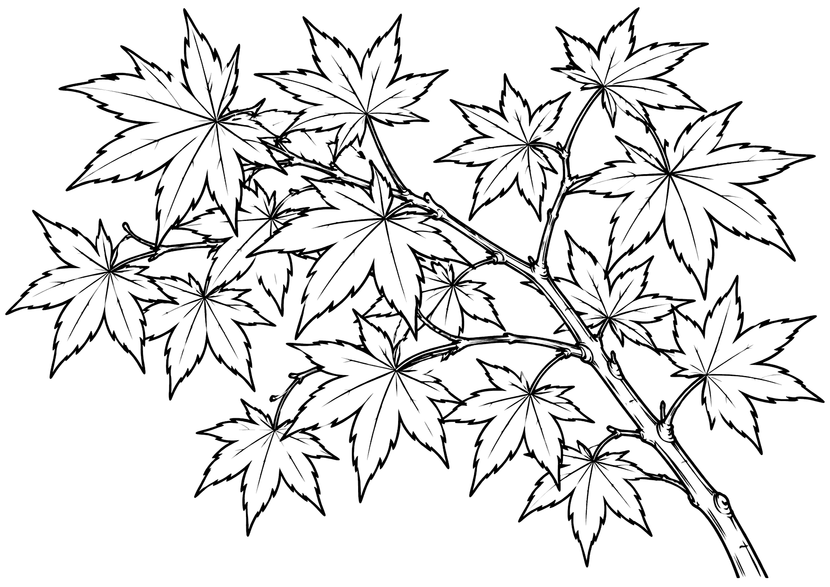 紅葉 塗り絵