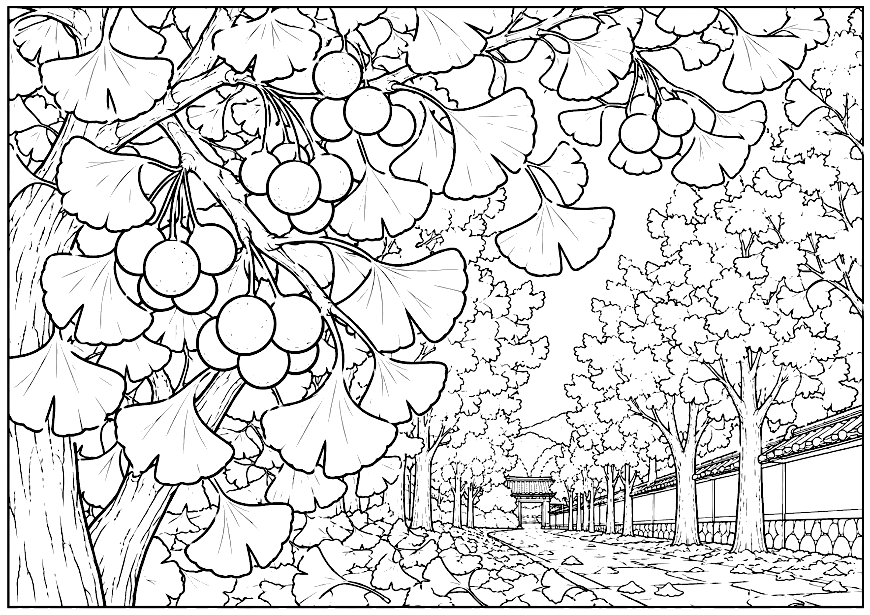 銀杏 塗り絵