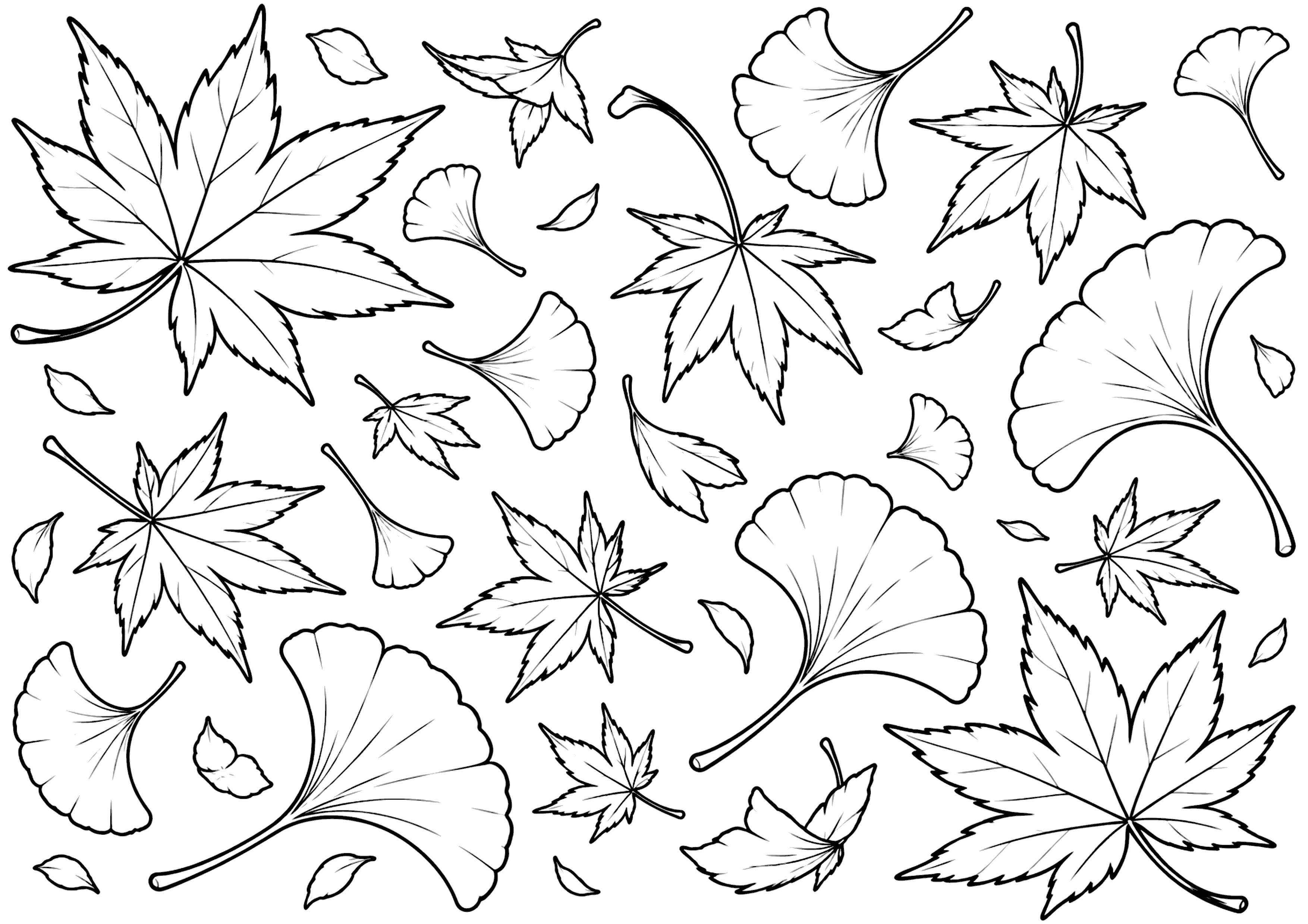 秋の葉たち 塗り絵