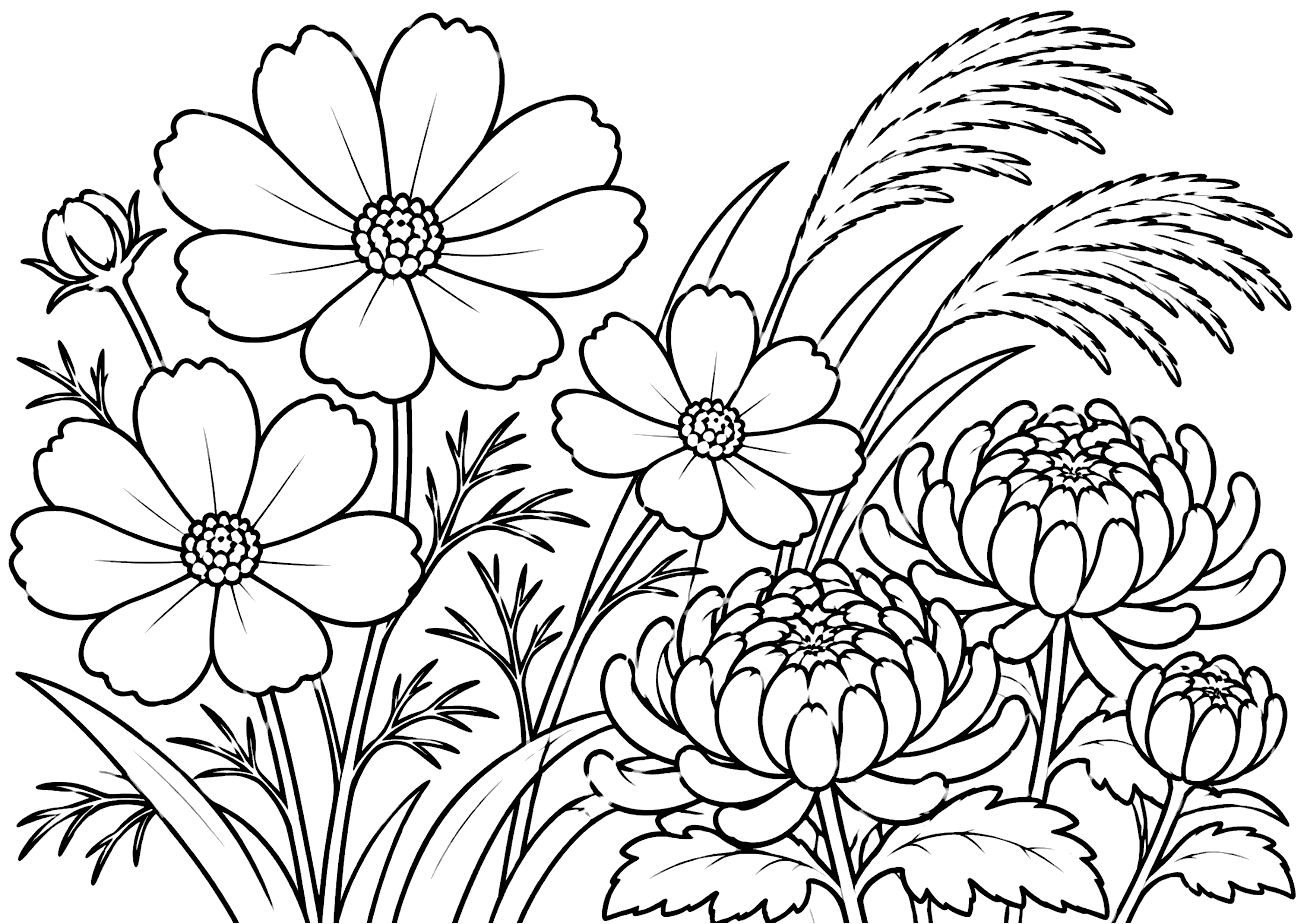 秋の花 塗り絵