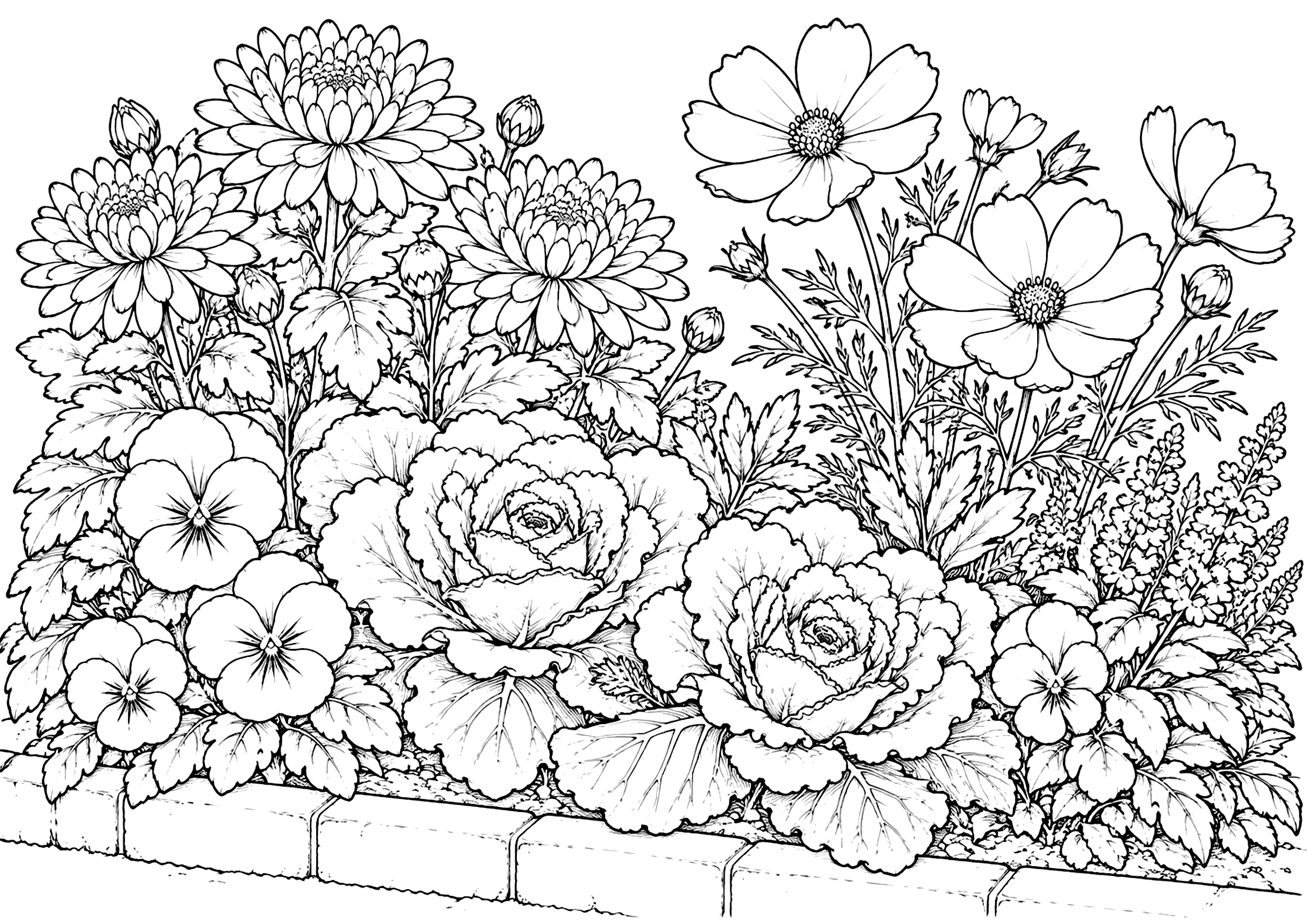 秋の花壇 塗り絵