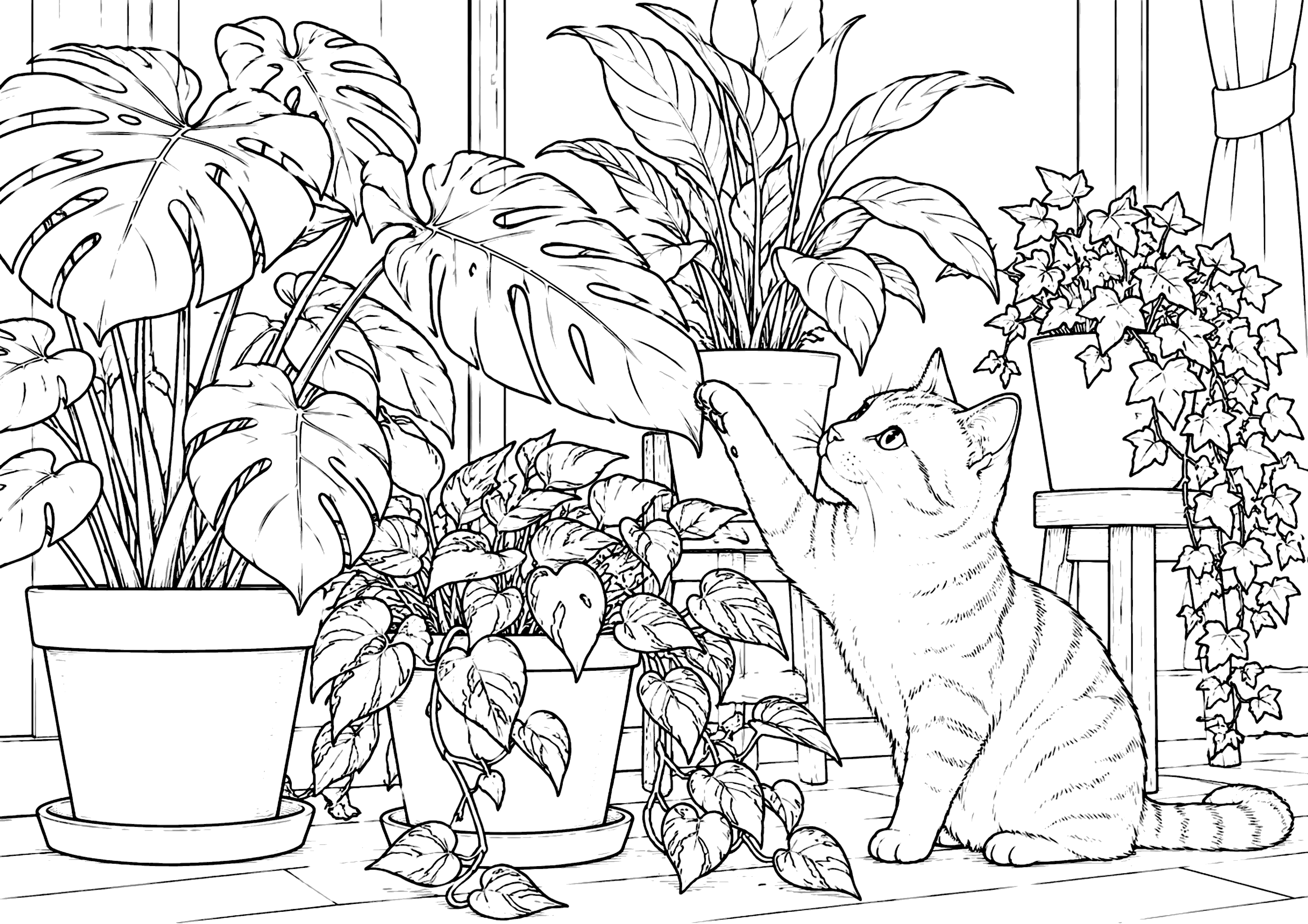 観葉植物と猫 塗り絵