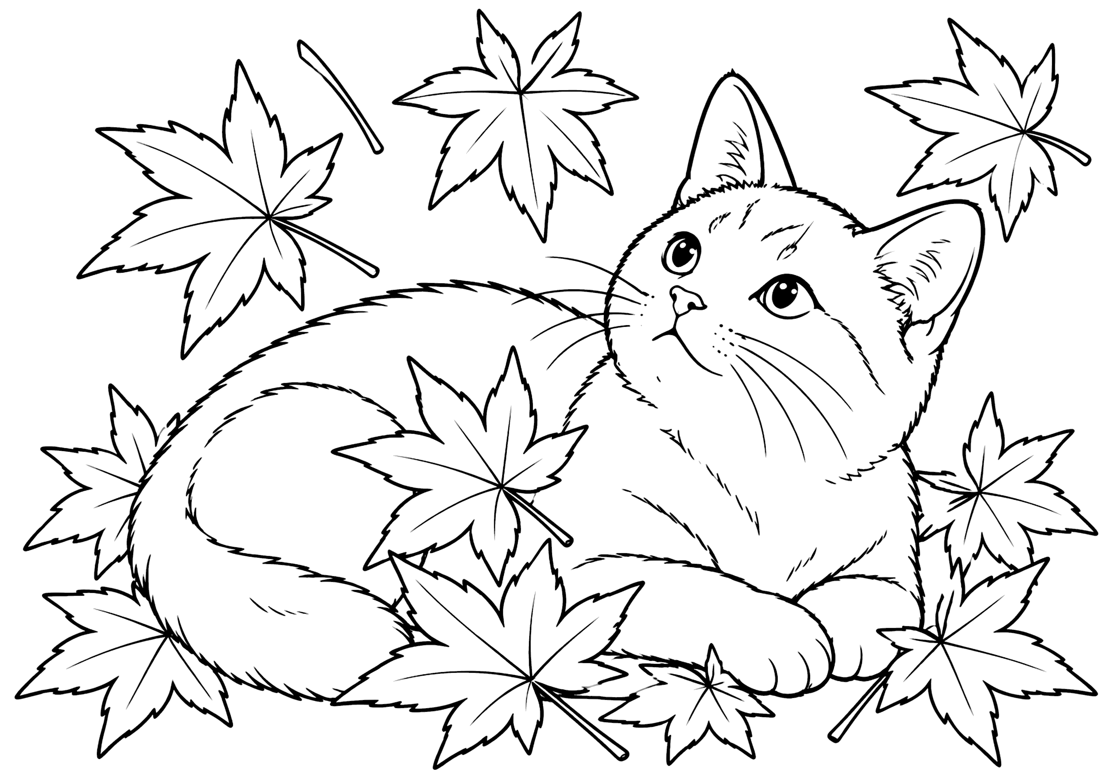 紅葉猫 塗り絵