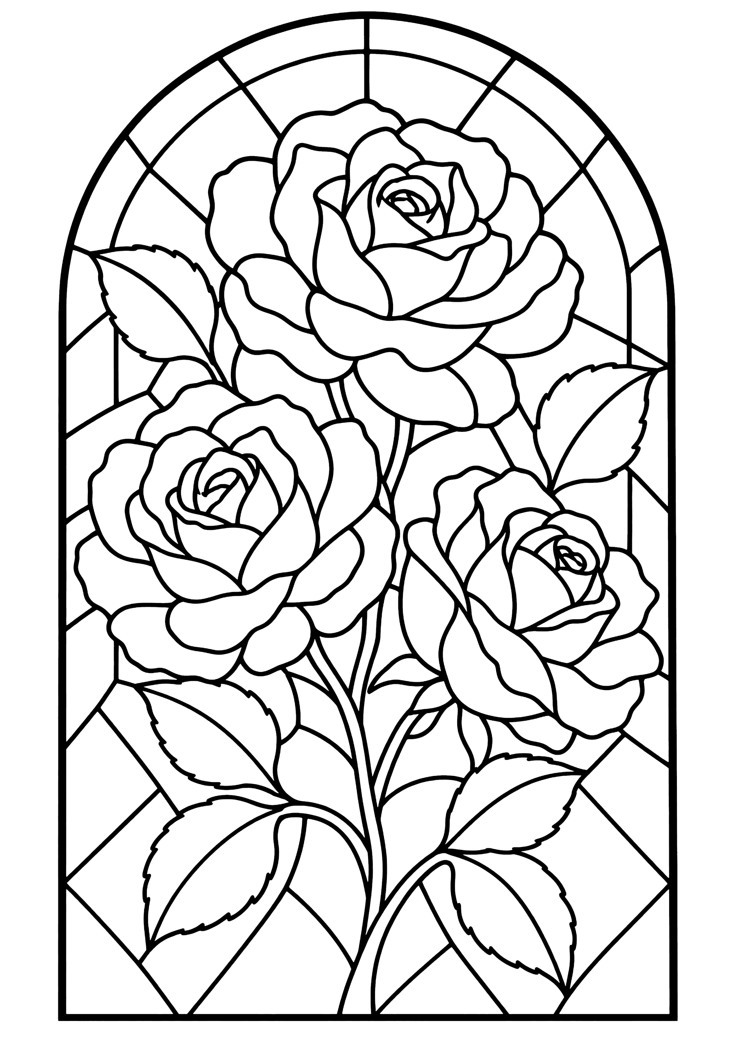 薔薇 塗り絵