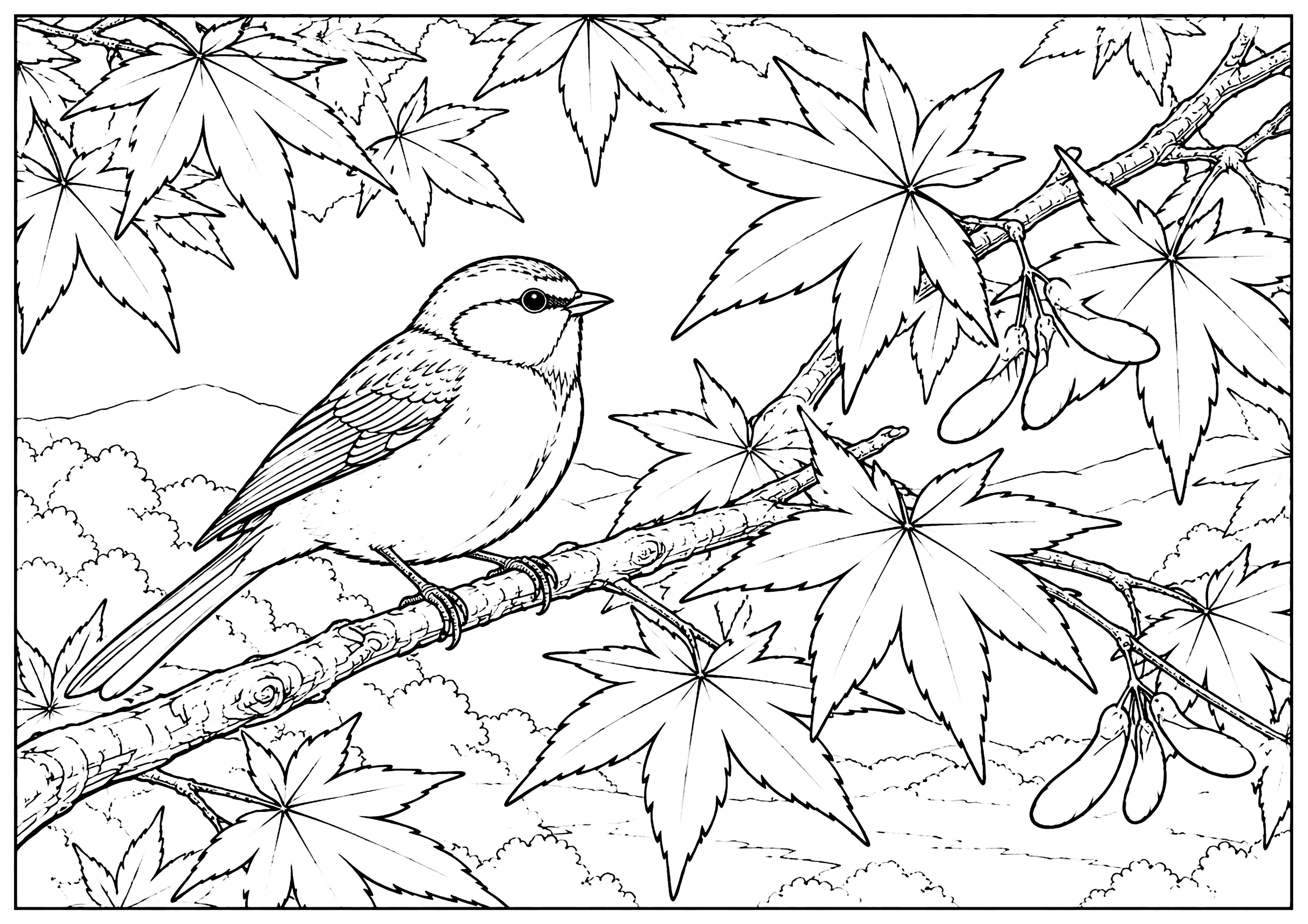 紅葉と鳥 塗り絵