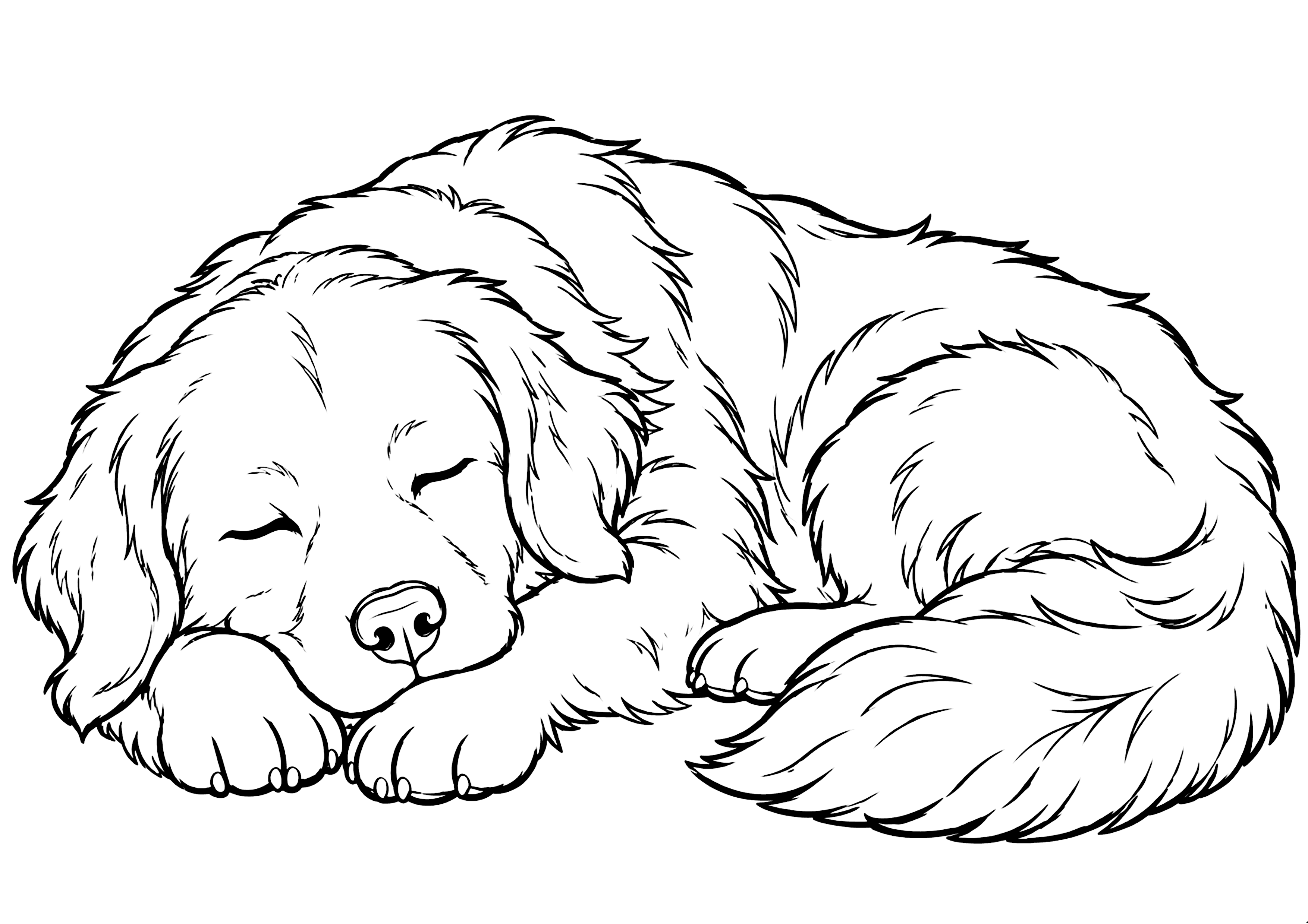 眠る犬 塗り絵
