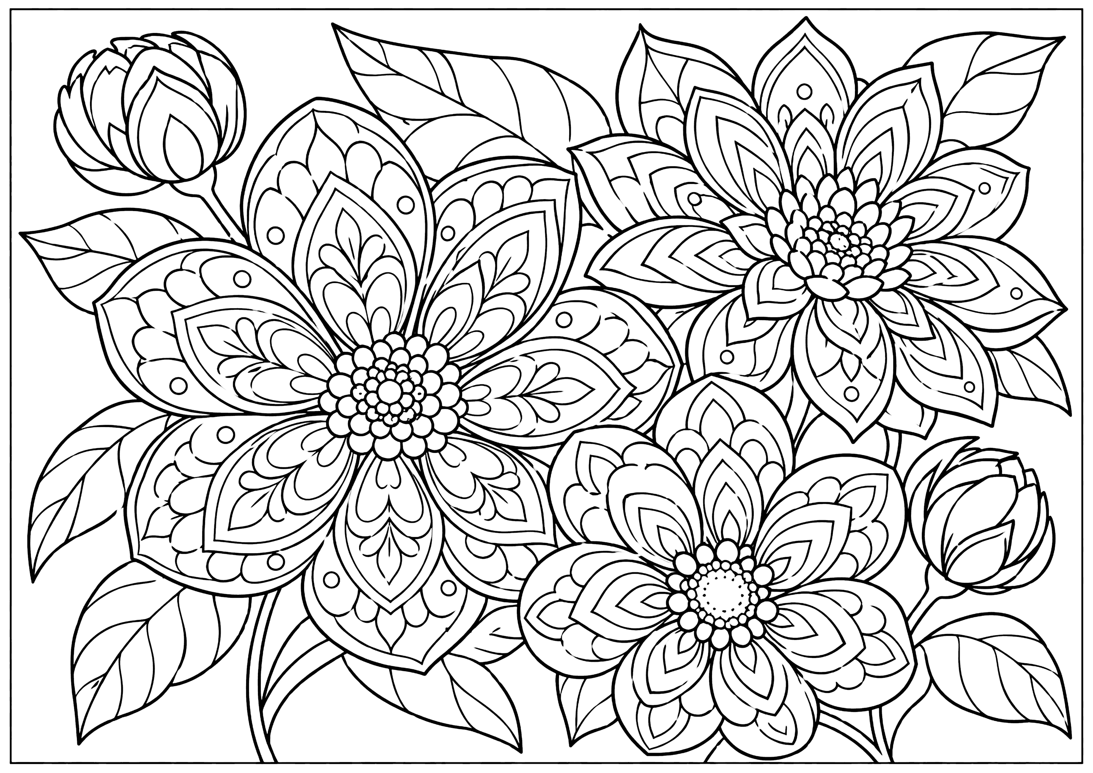 曼荼羅花 塗り絵