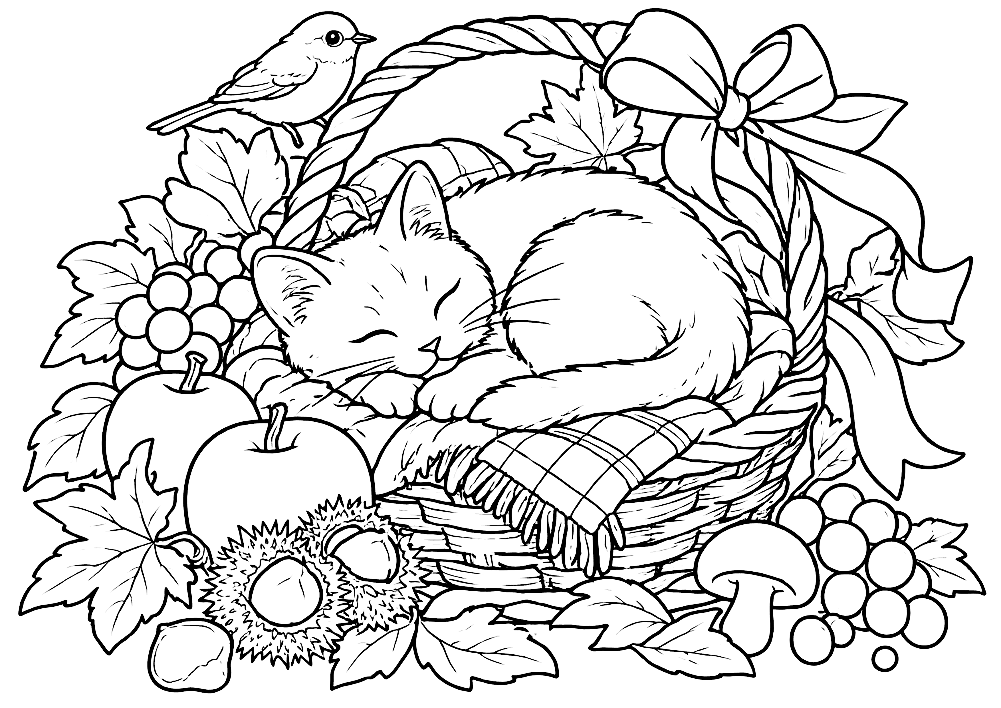 秋と猫 塗り絵