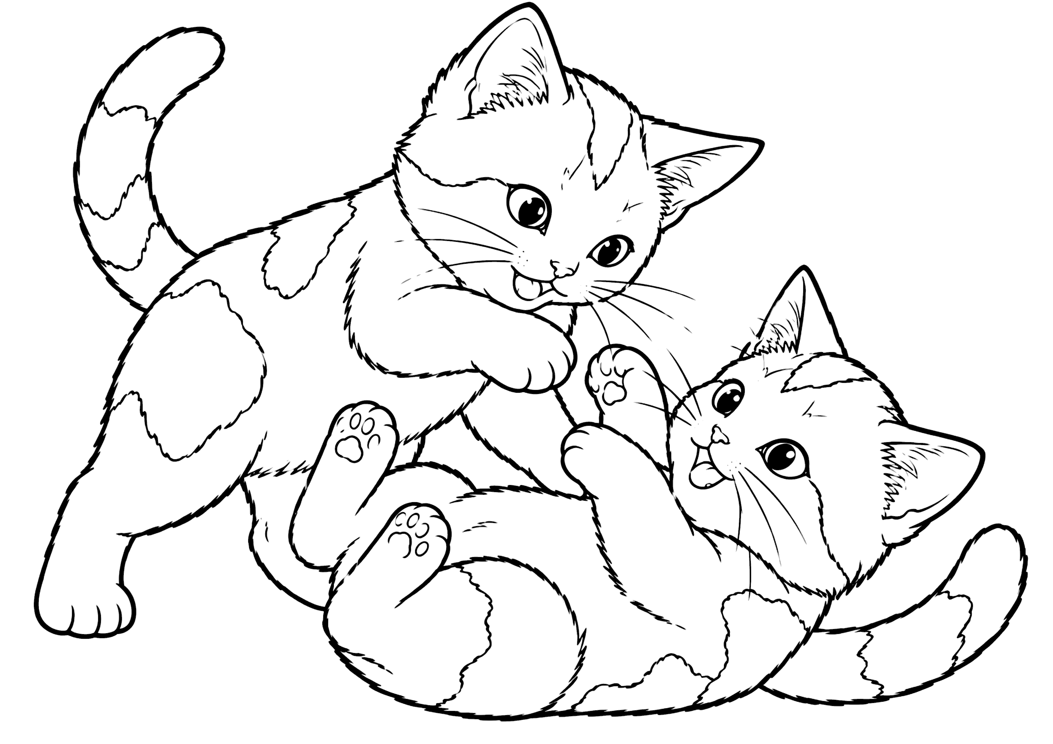 三毛猫の子供 塗り絵