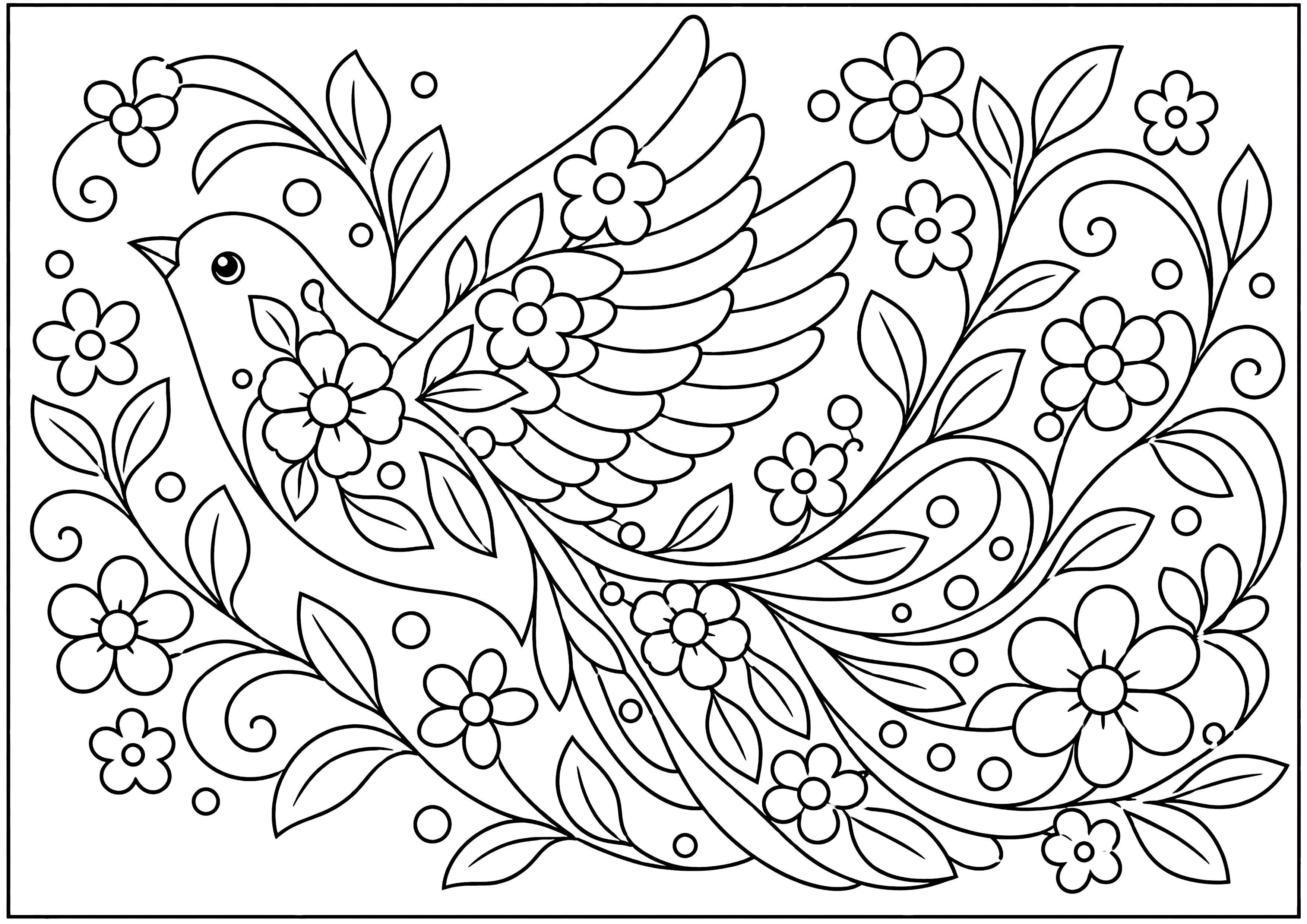 幻想鳥 塗り絵