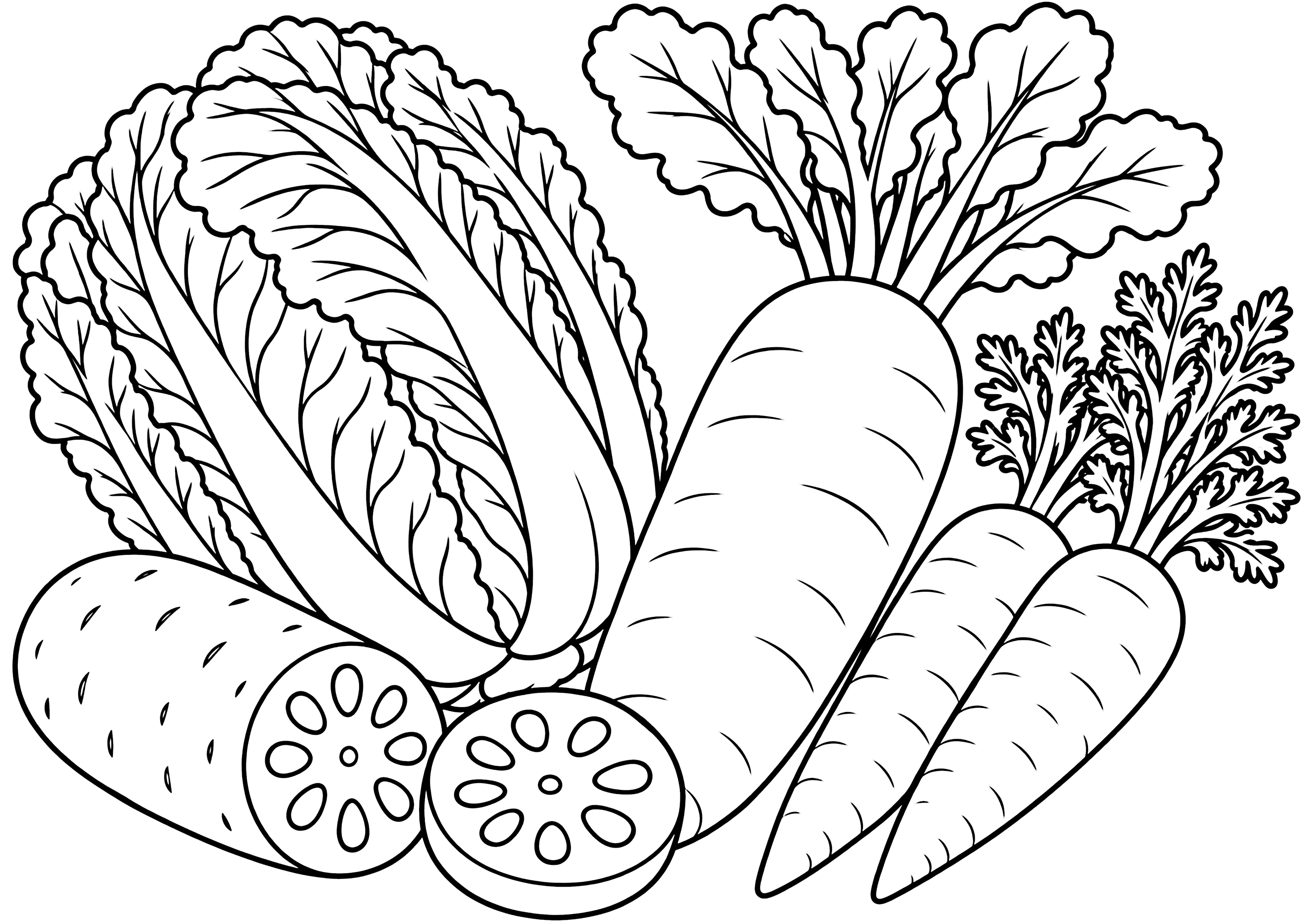 冬野菜 塗り絵