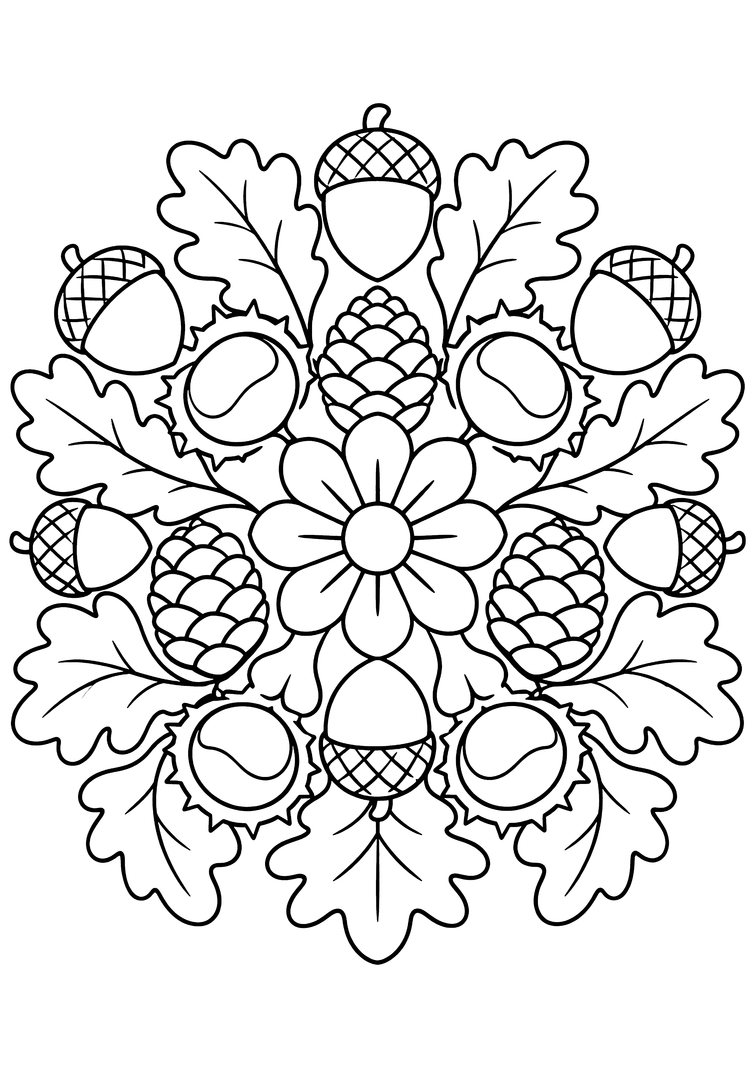 木の実の曼荼羅 塗り絵