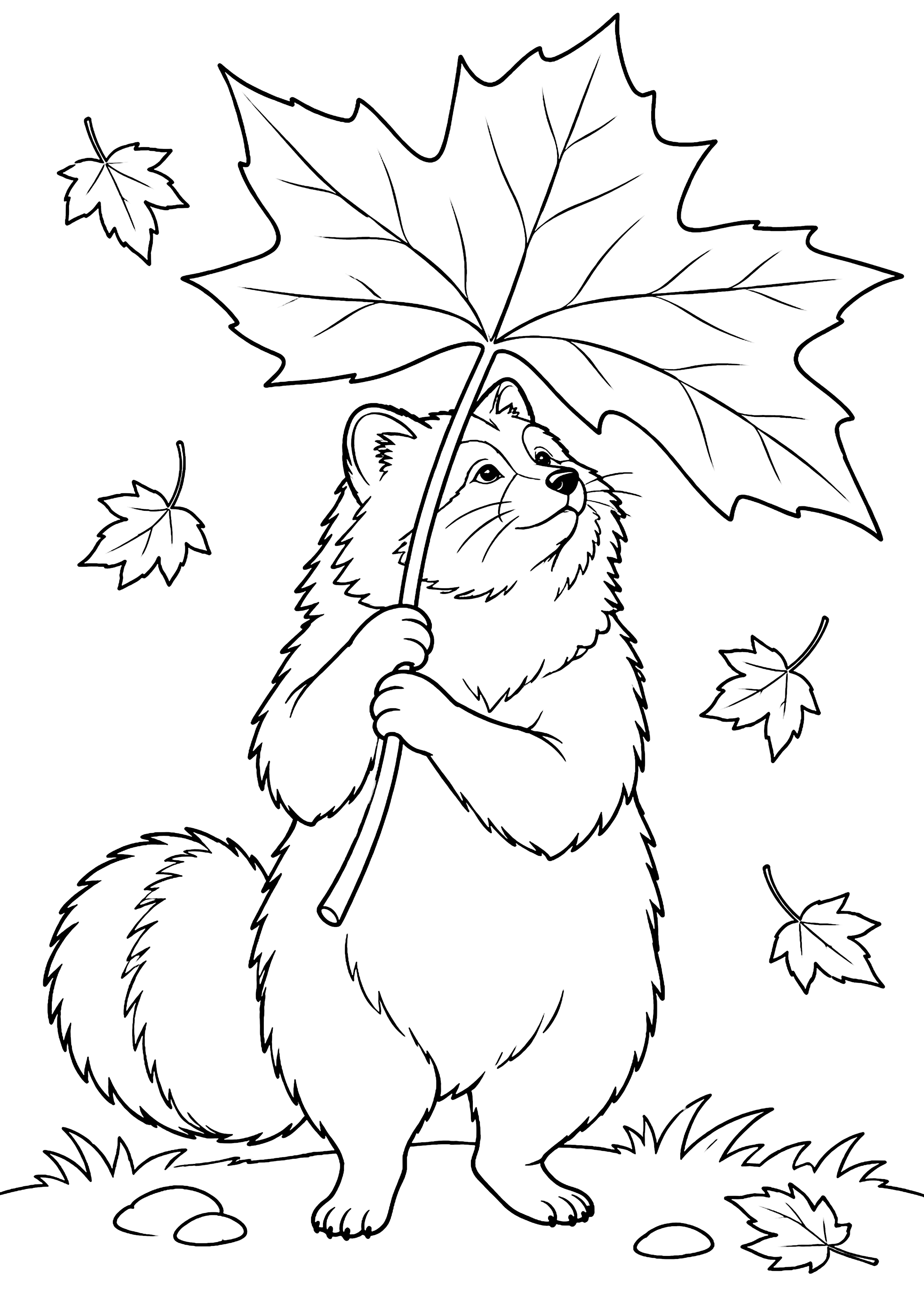 葉っぱの傘のたぬき 塗り絵