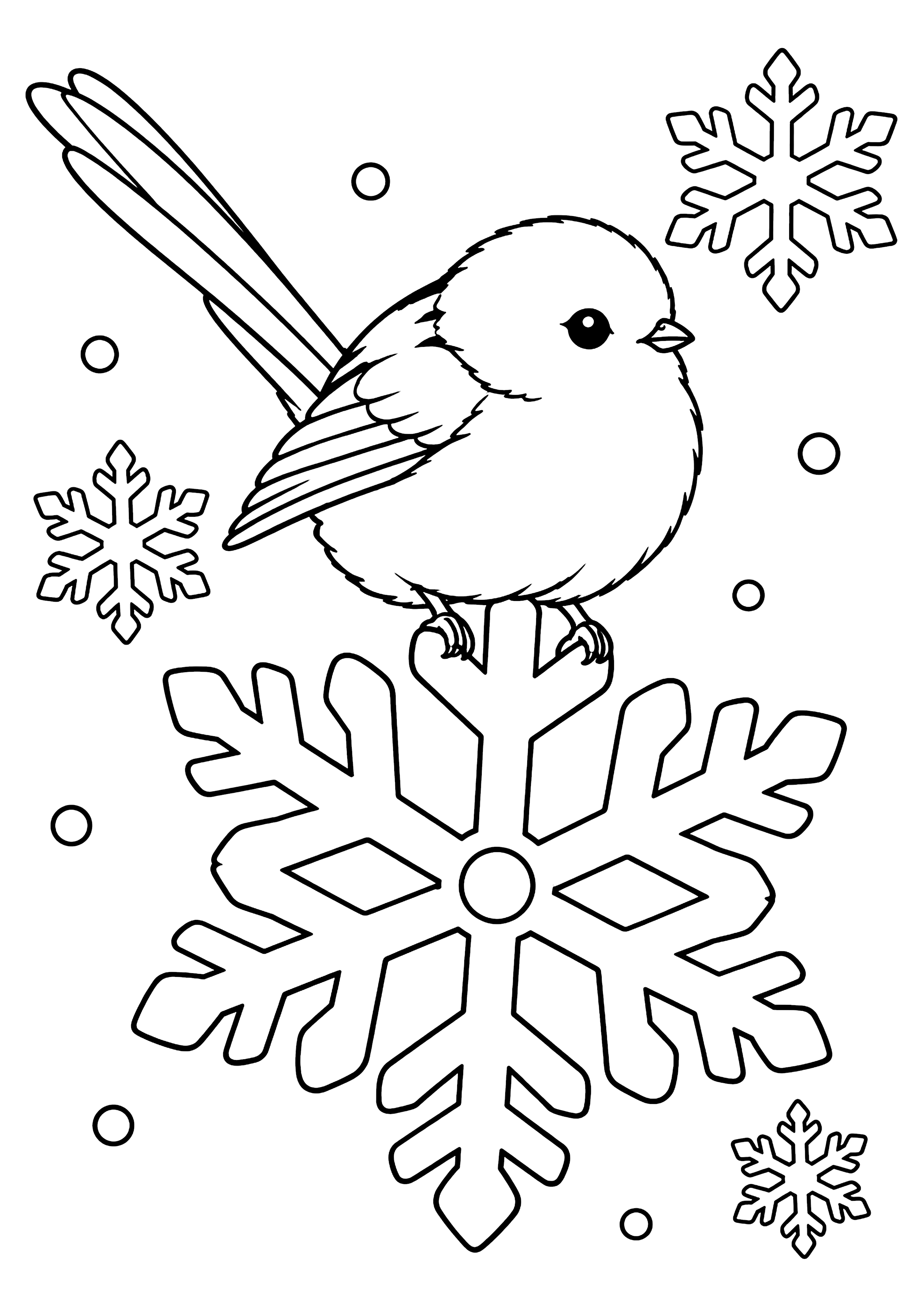 雪の結晶に乗るシマエナガ 塗り絵