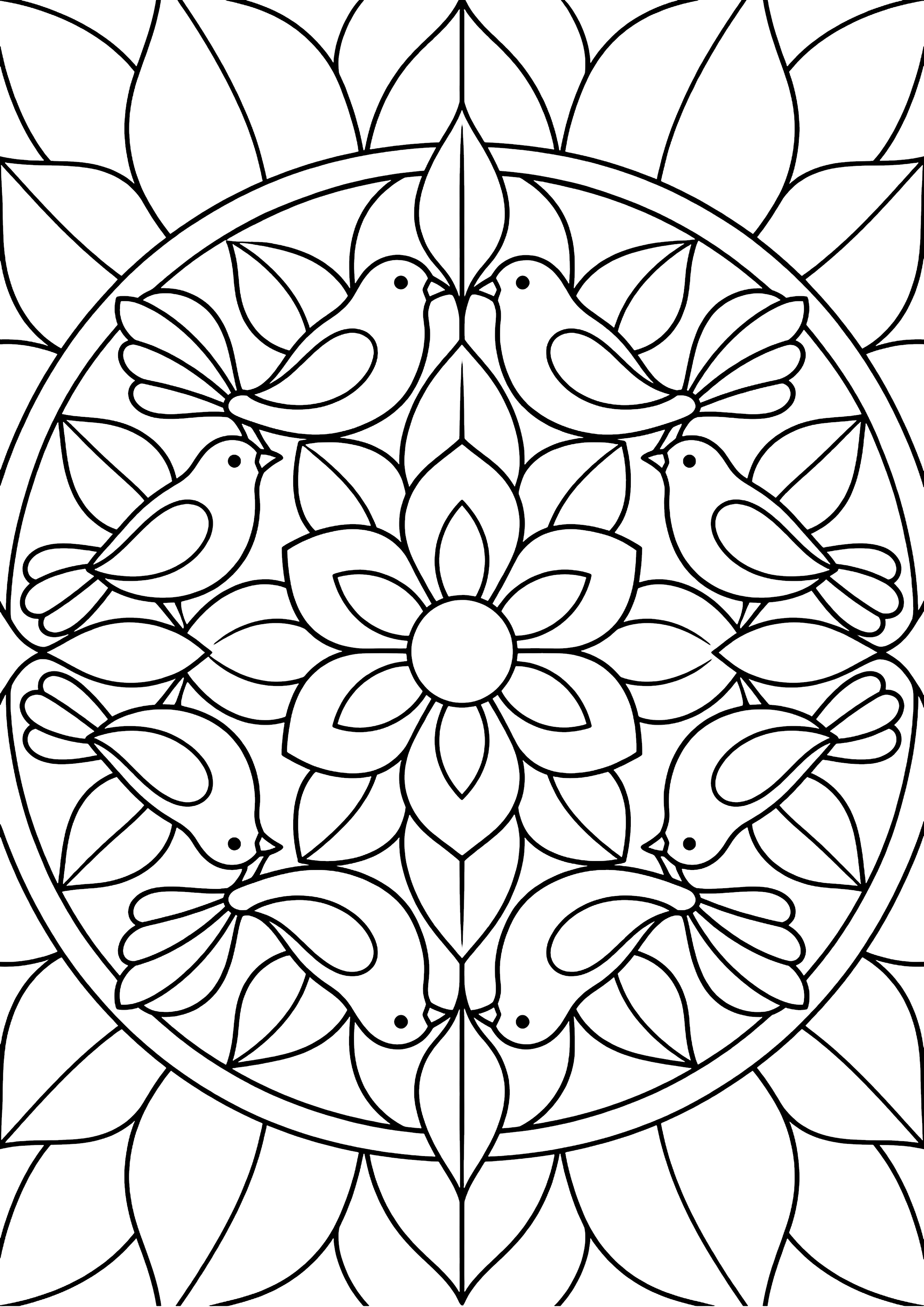 鳥の曼荼羅 塗り絵