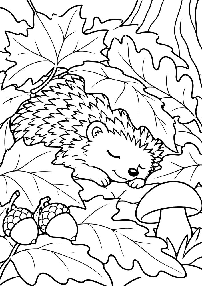 ハリネズミの落ち葉布団 塗り絵